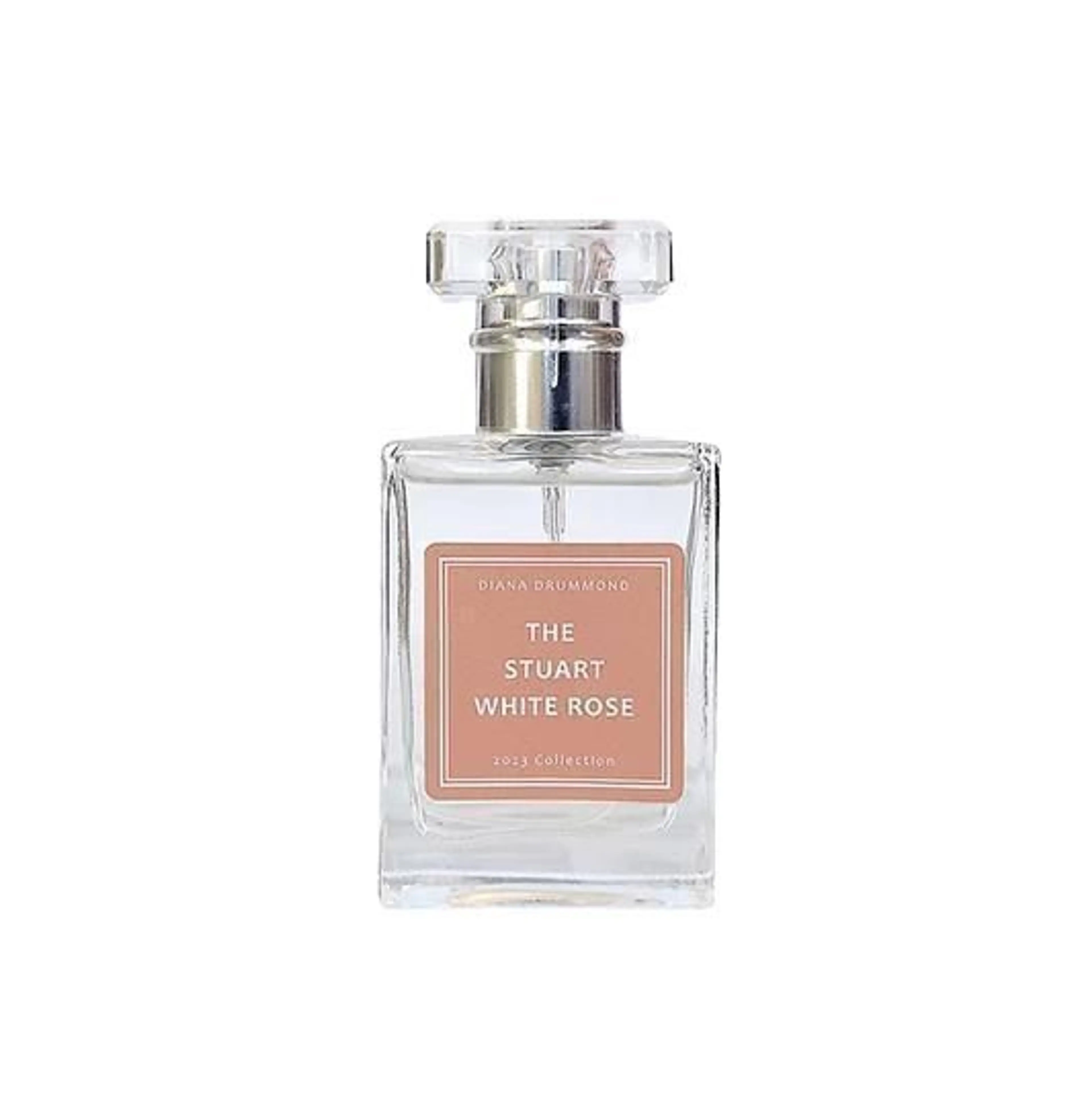 The Stuart White Rose