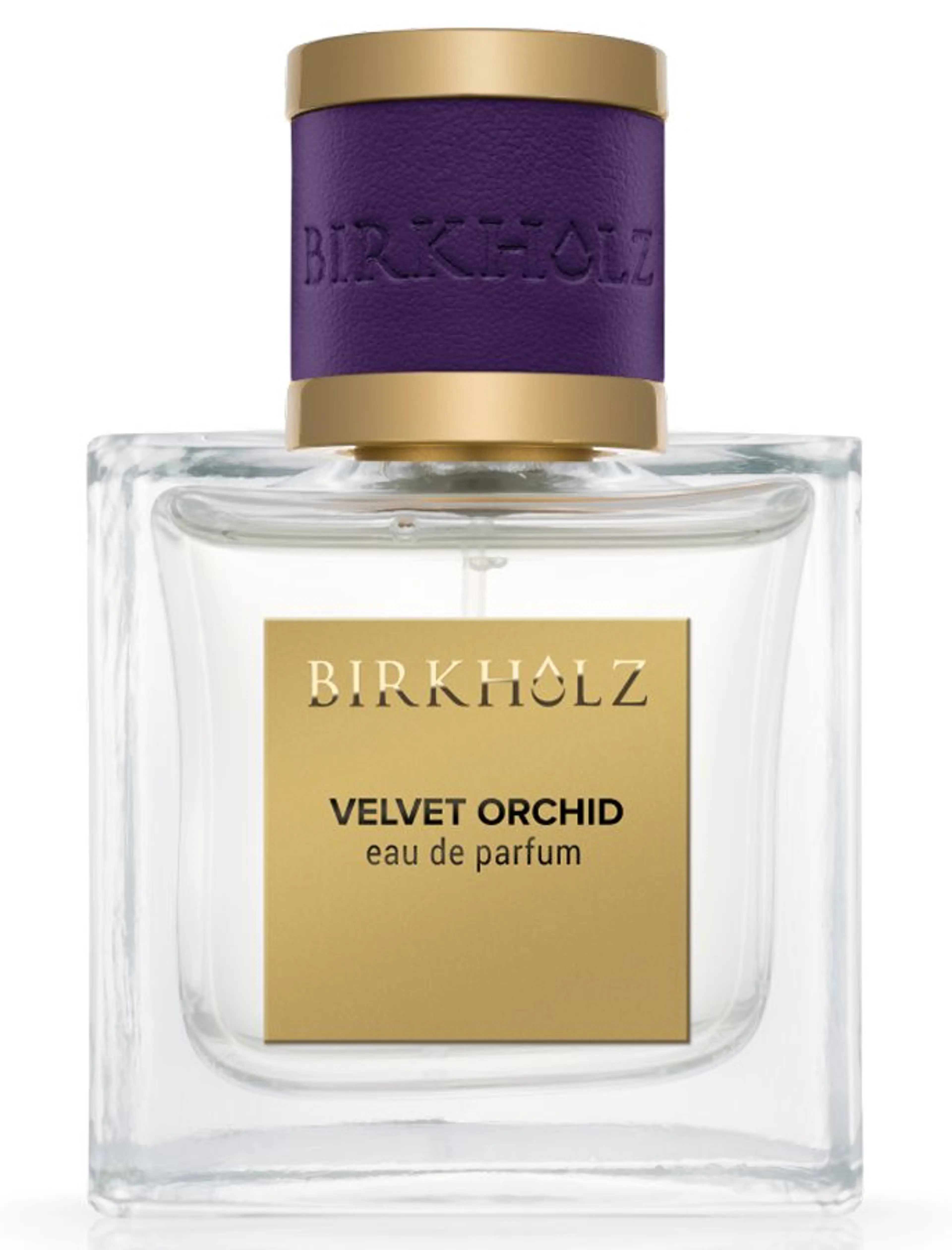 Velvet Orchid
