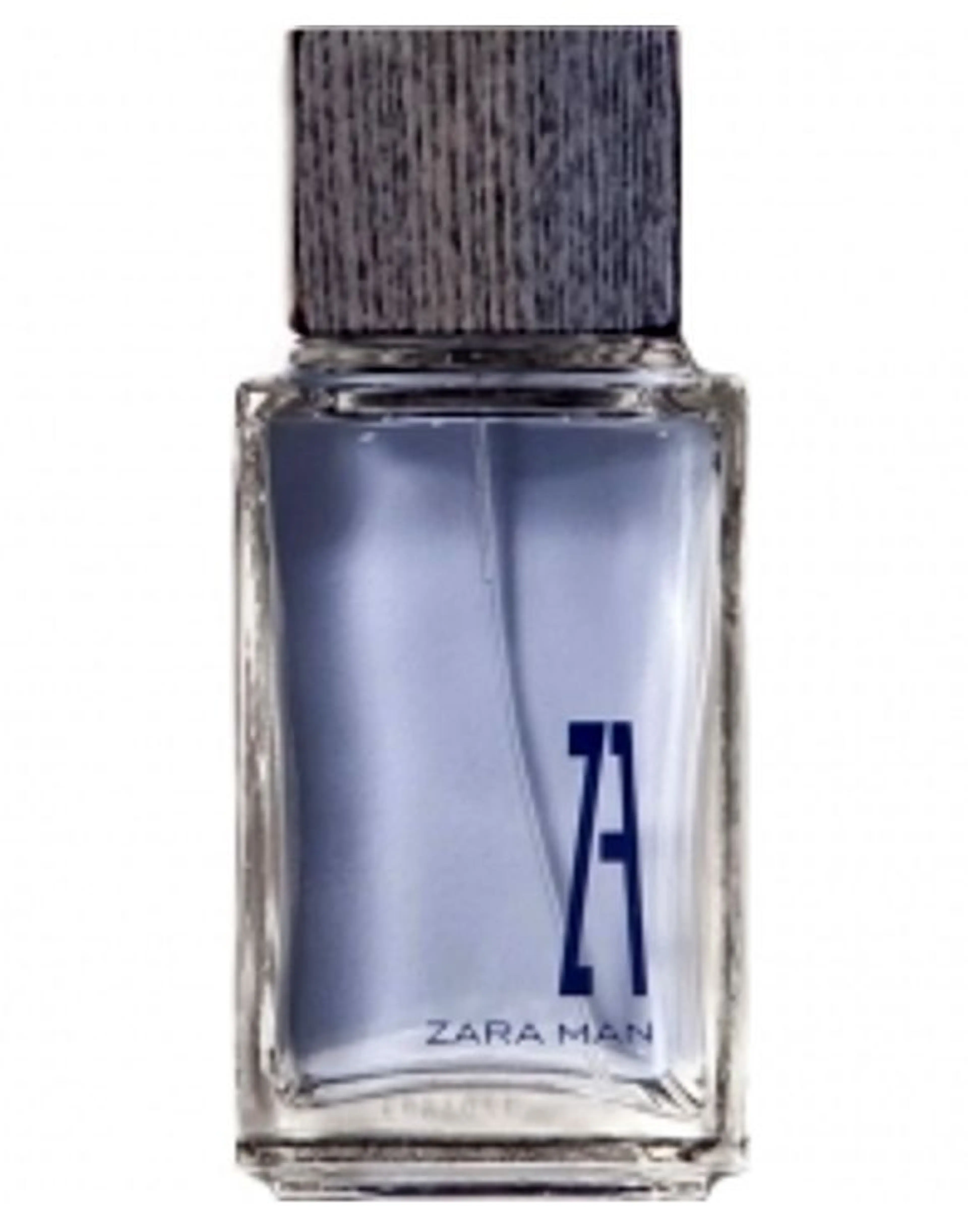 Zara Man 2012