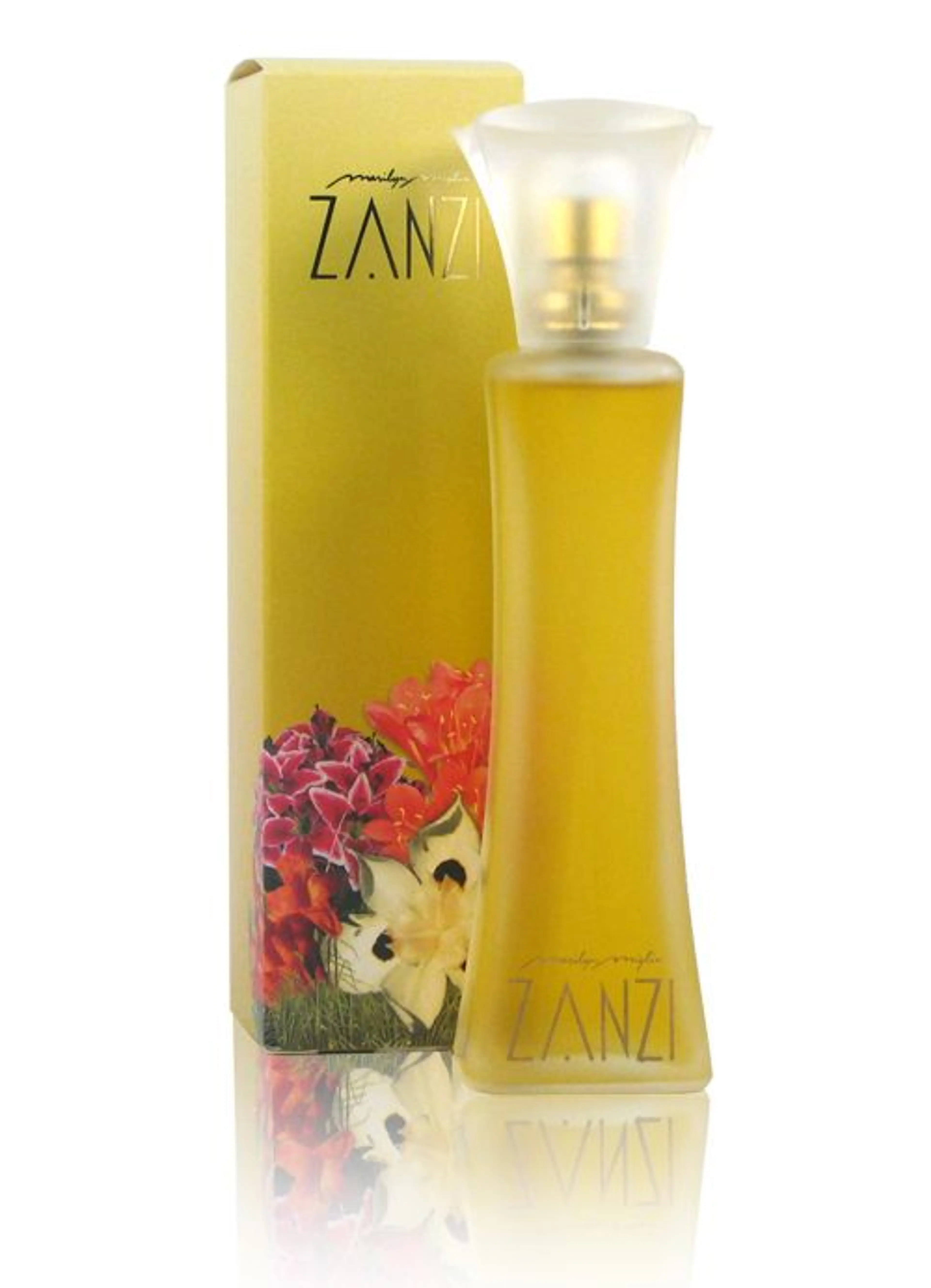 Zanzi