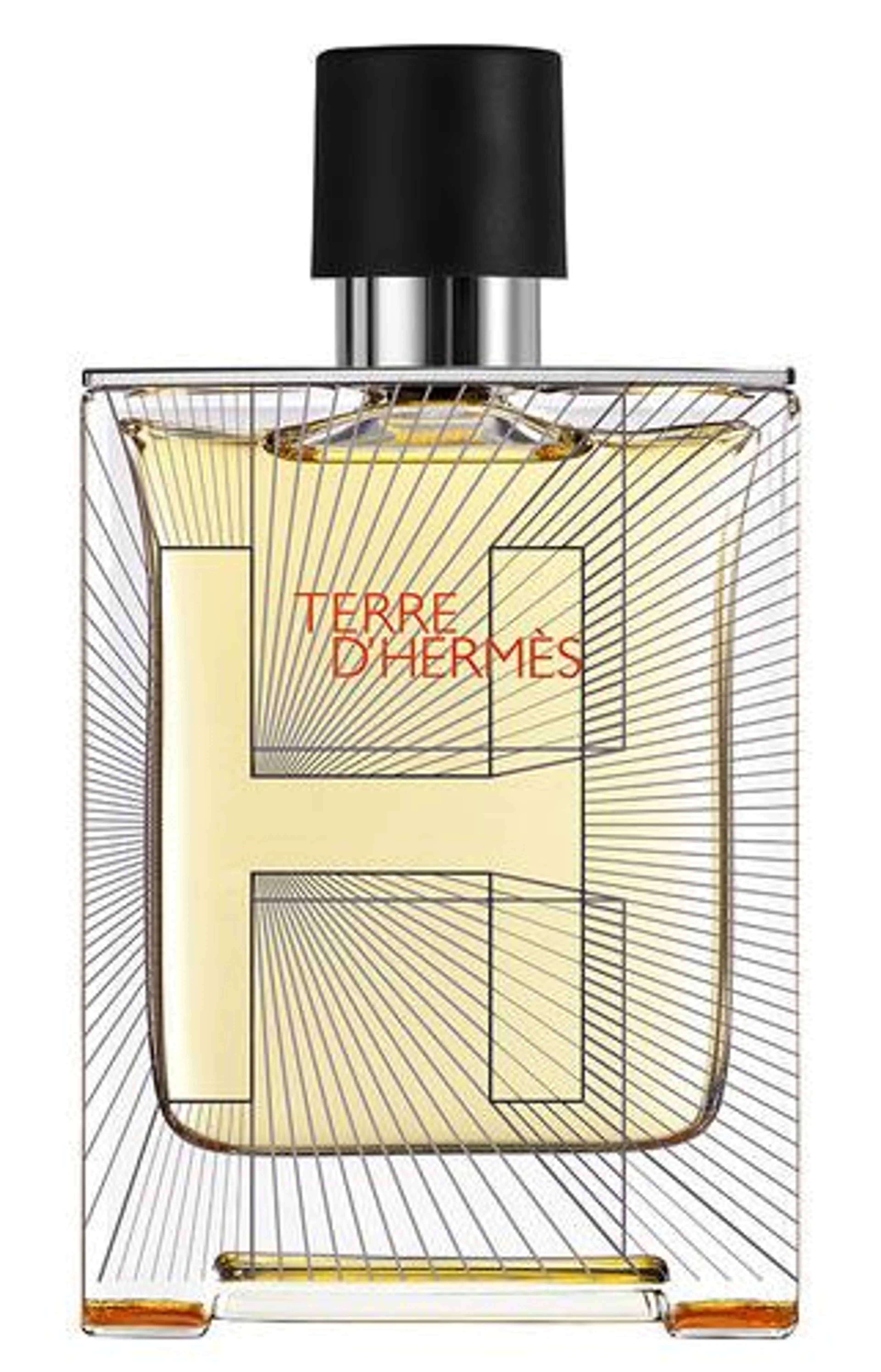 Terre d'Hermes Flacon H 2014