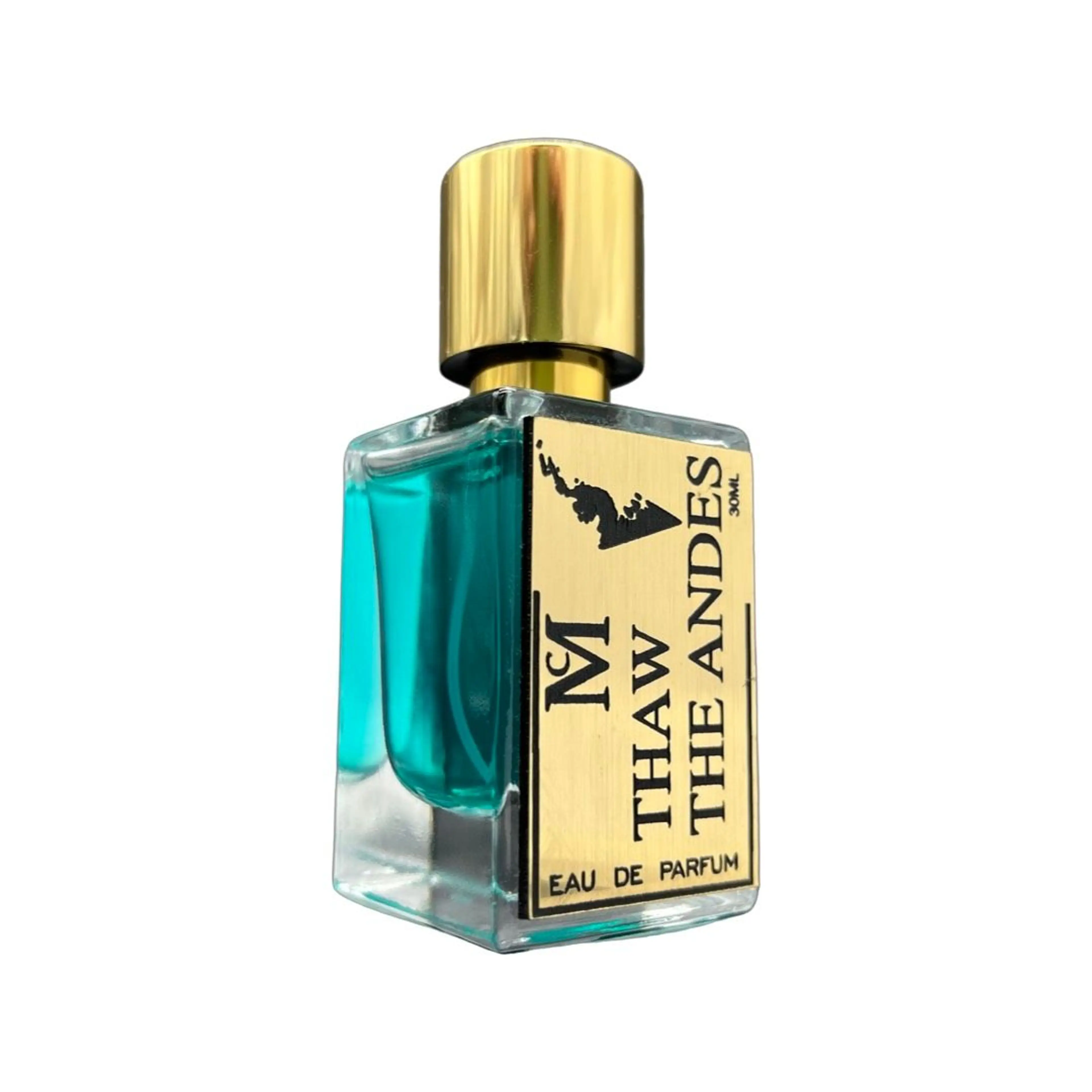 Thaw The Andes