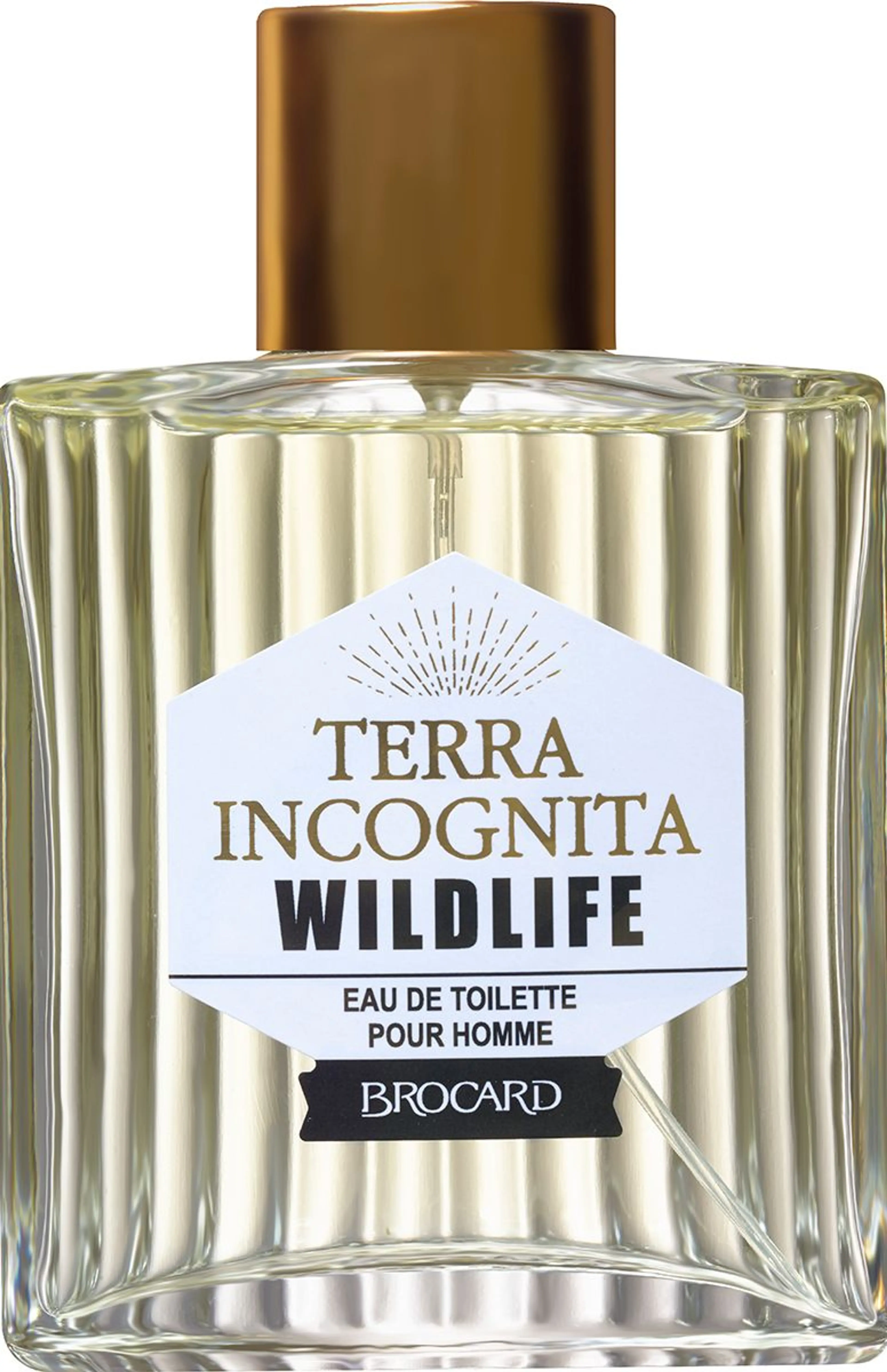 Terra Incognita Wild Life