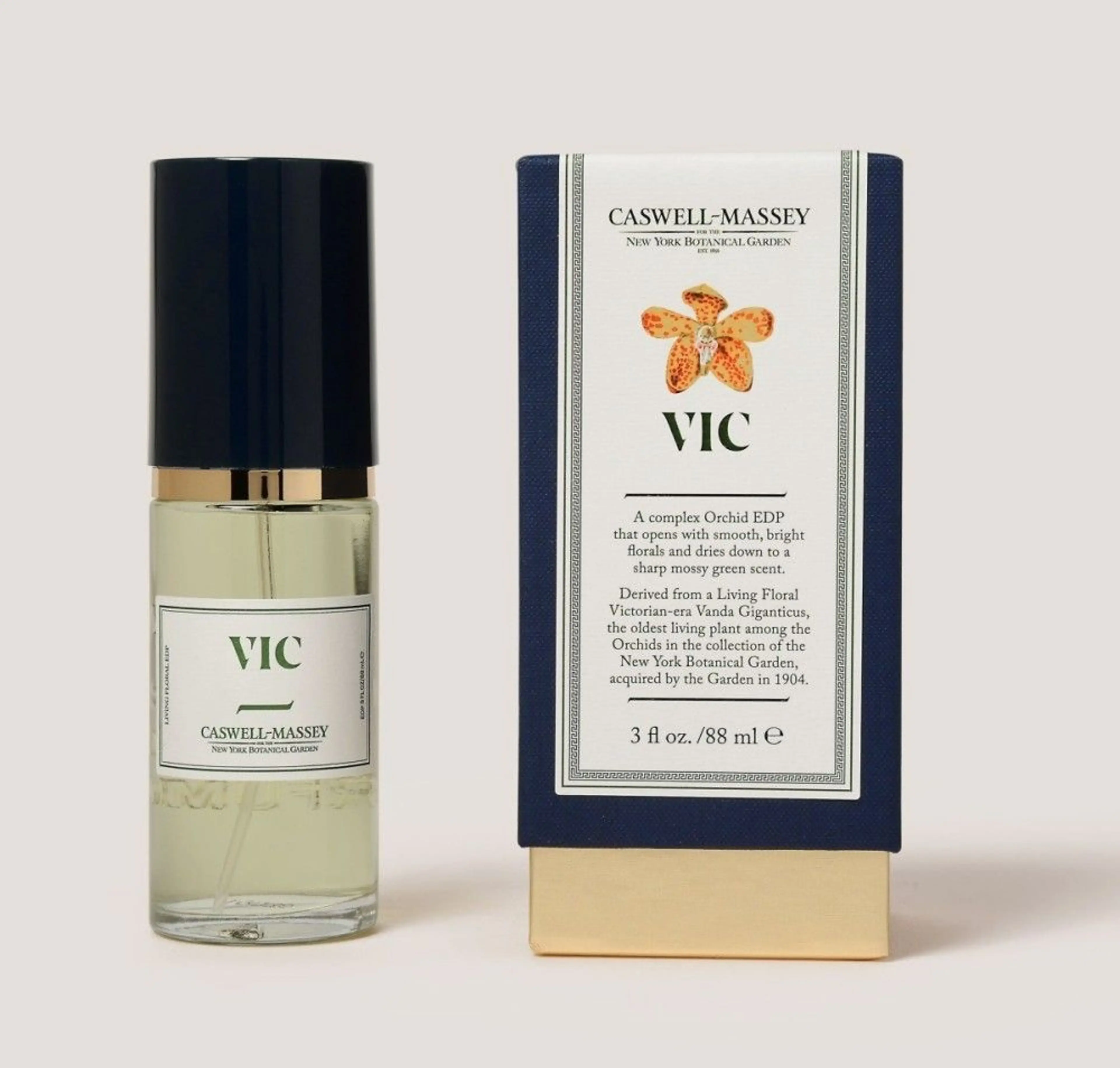 VIC Orchid