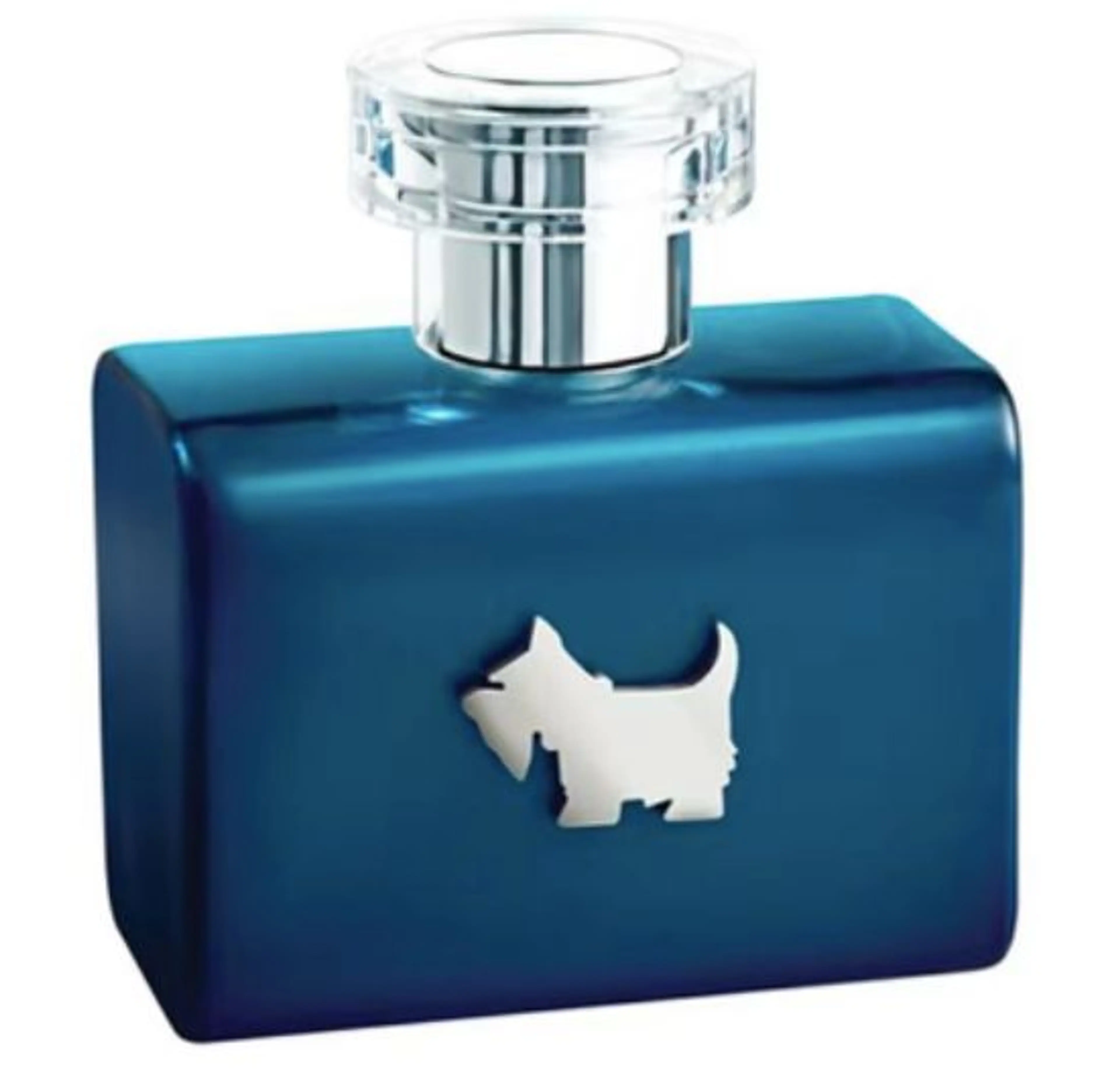 Terrier Blue