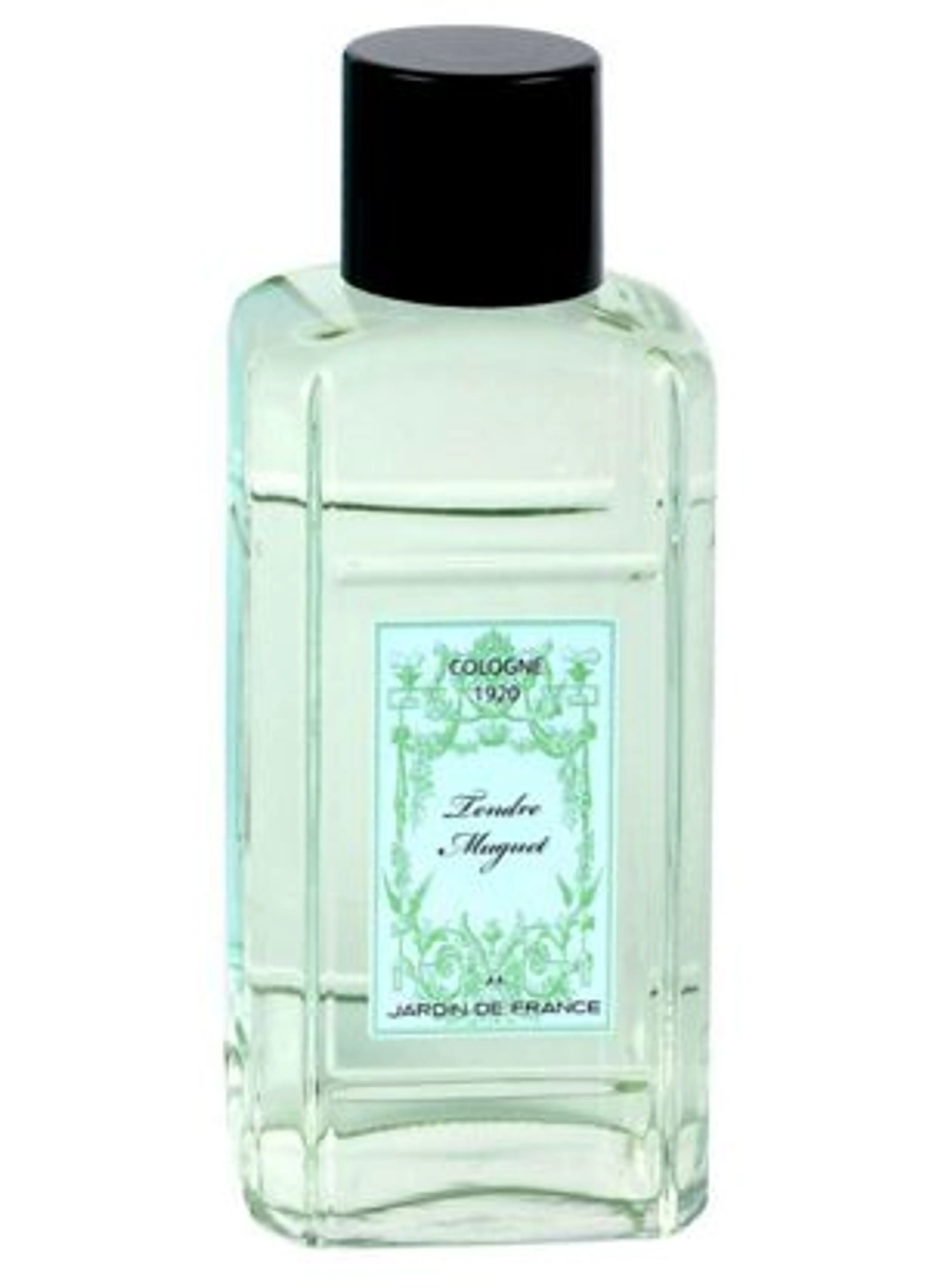 Tendre Muguet
