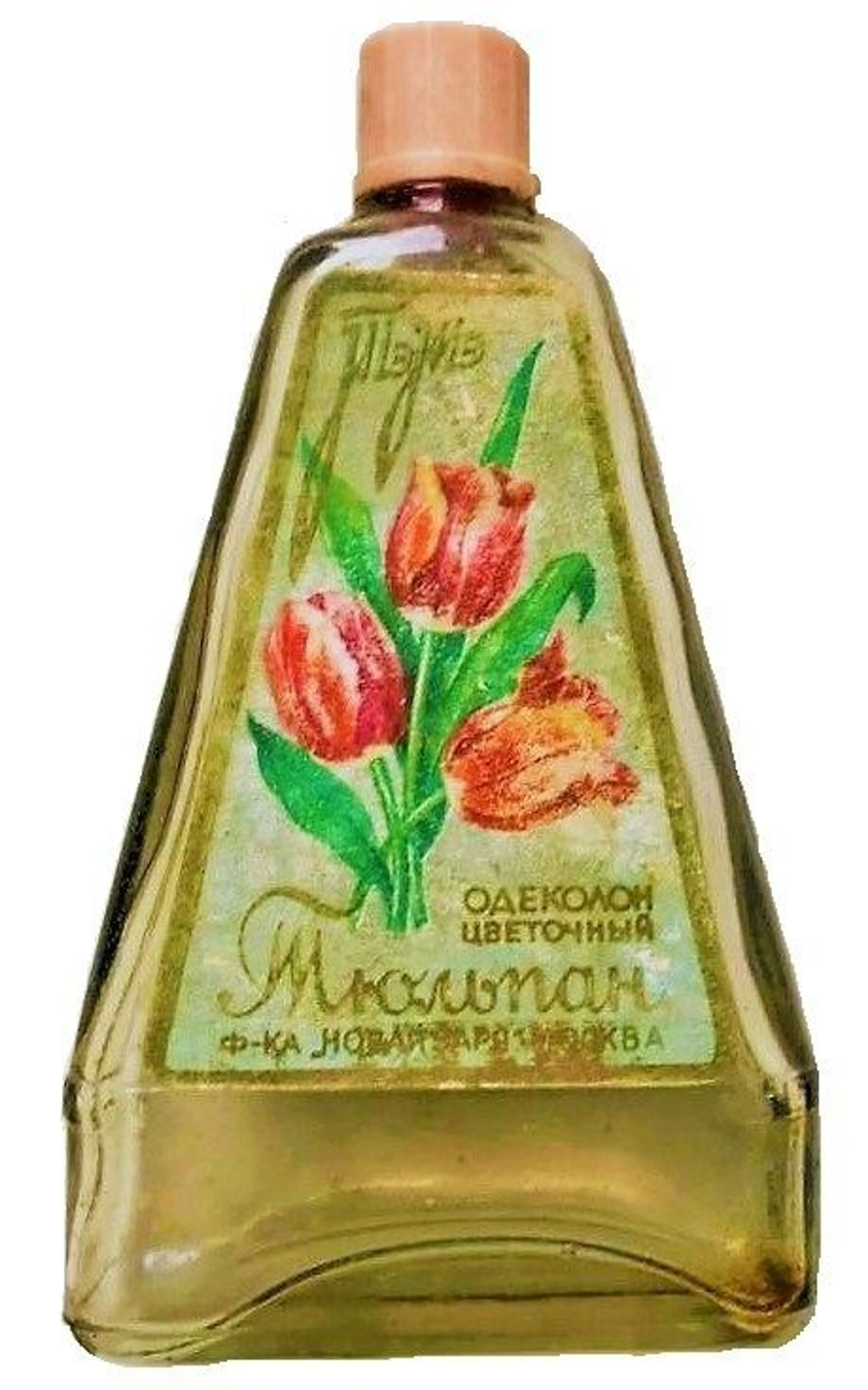 Тюльпан
