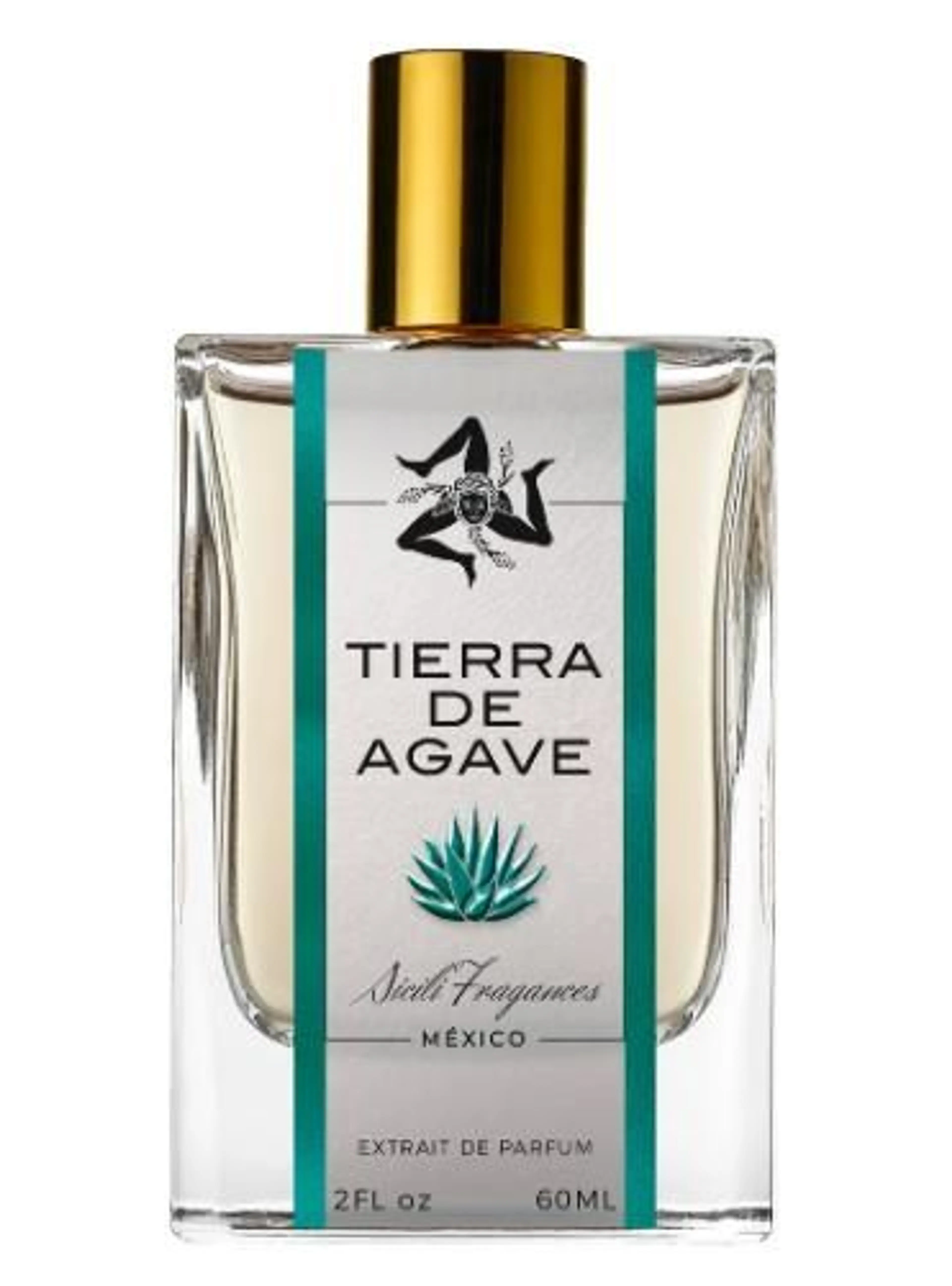 Tierra de Agave
