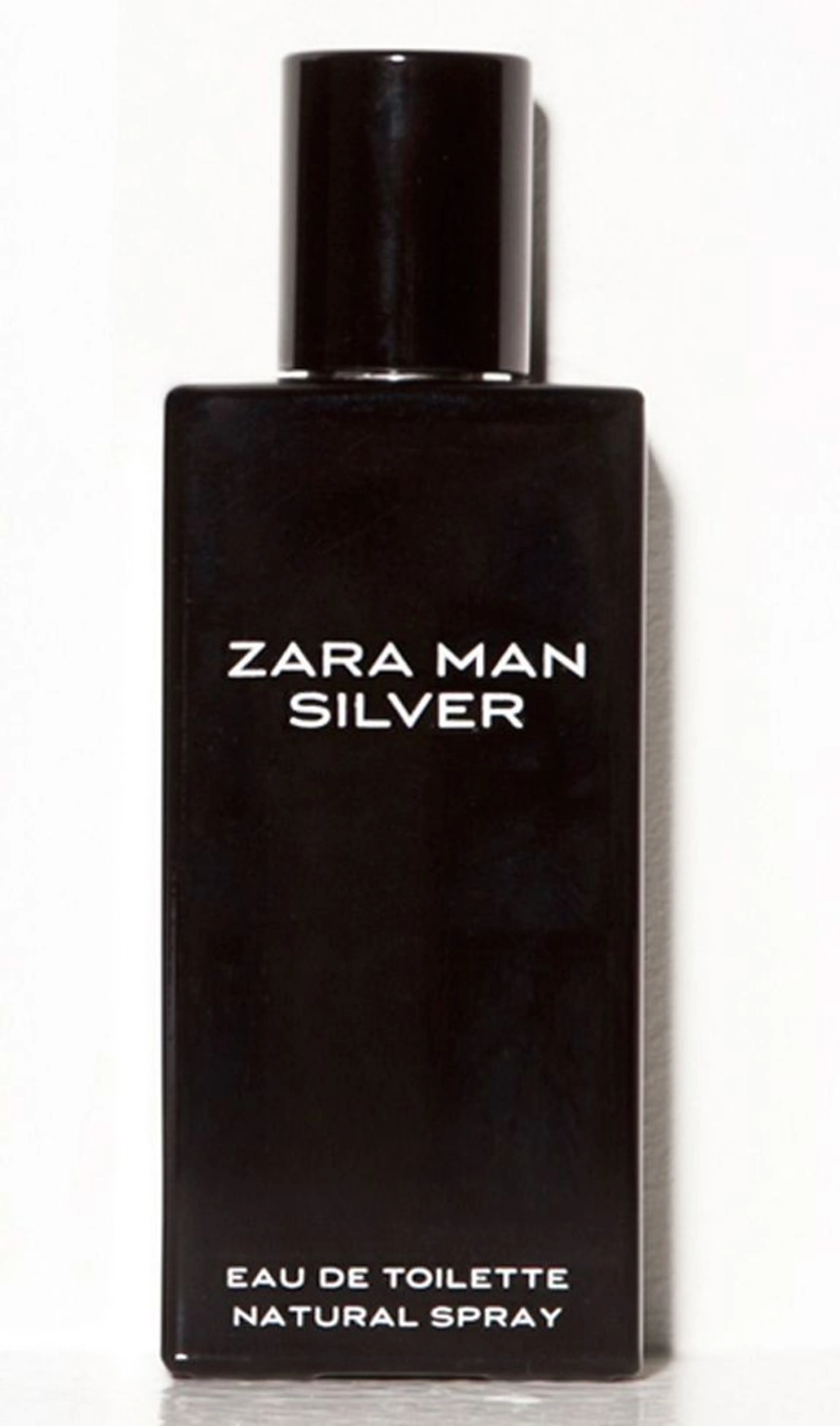 Zara Man Silver
