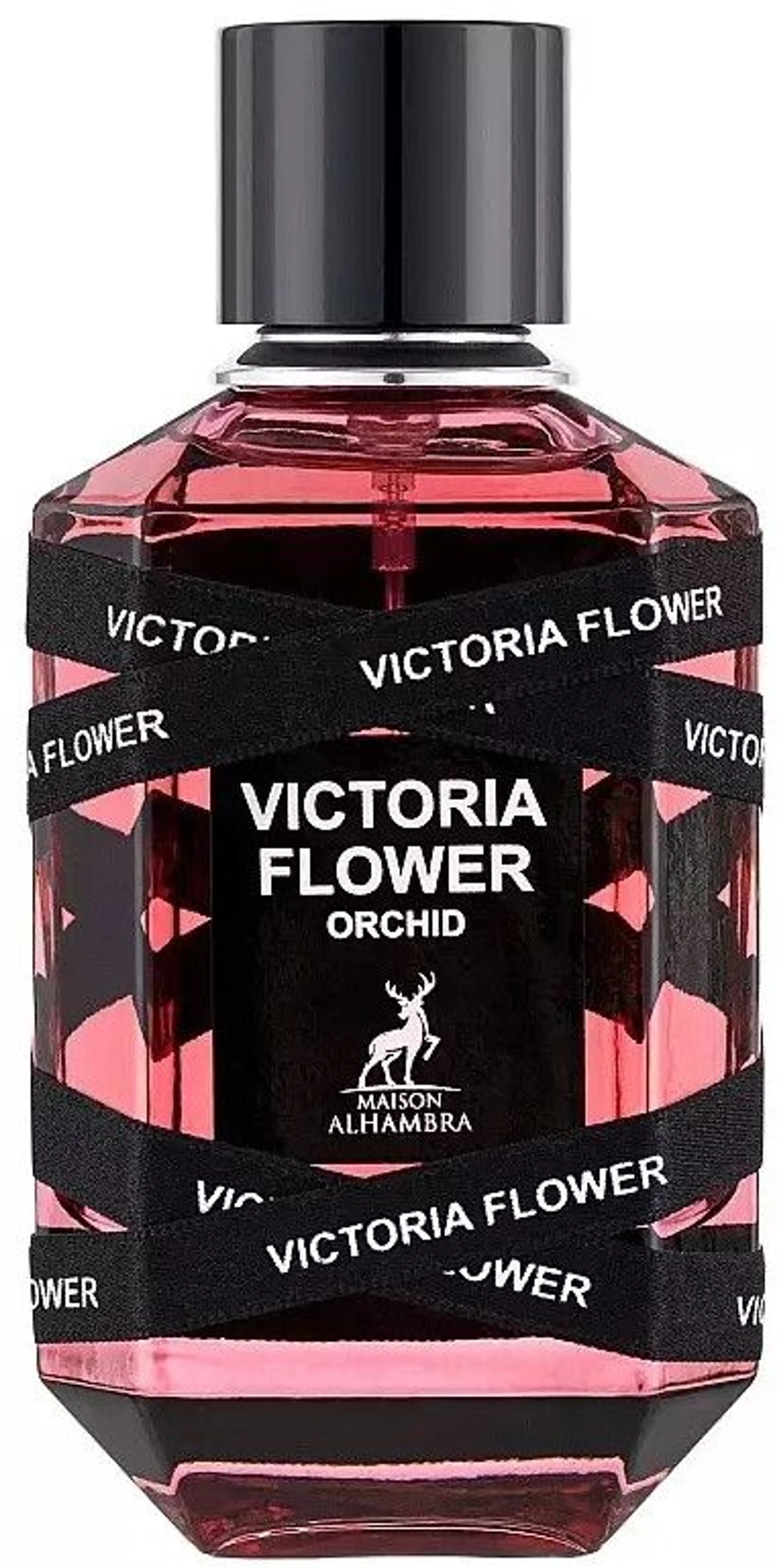 Victoria Flower Orchid