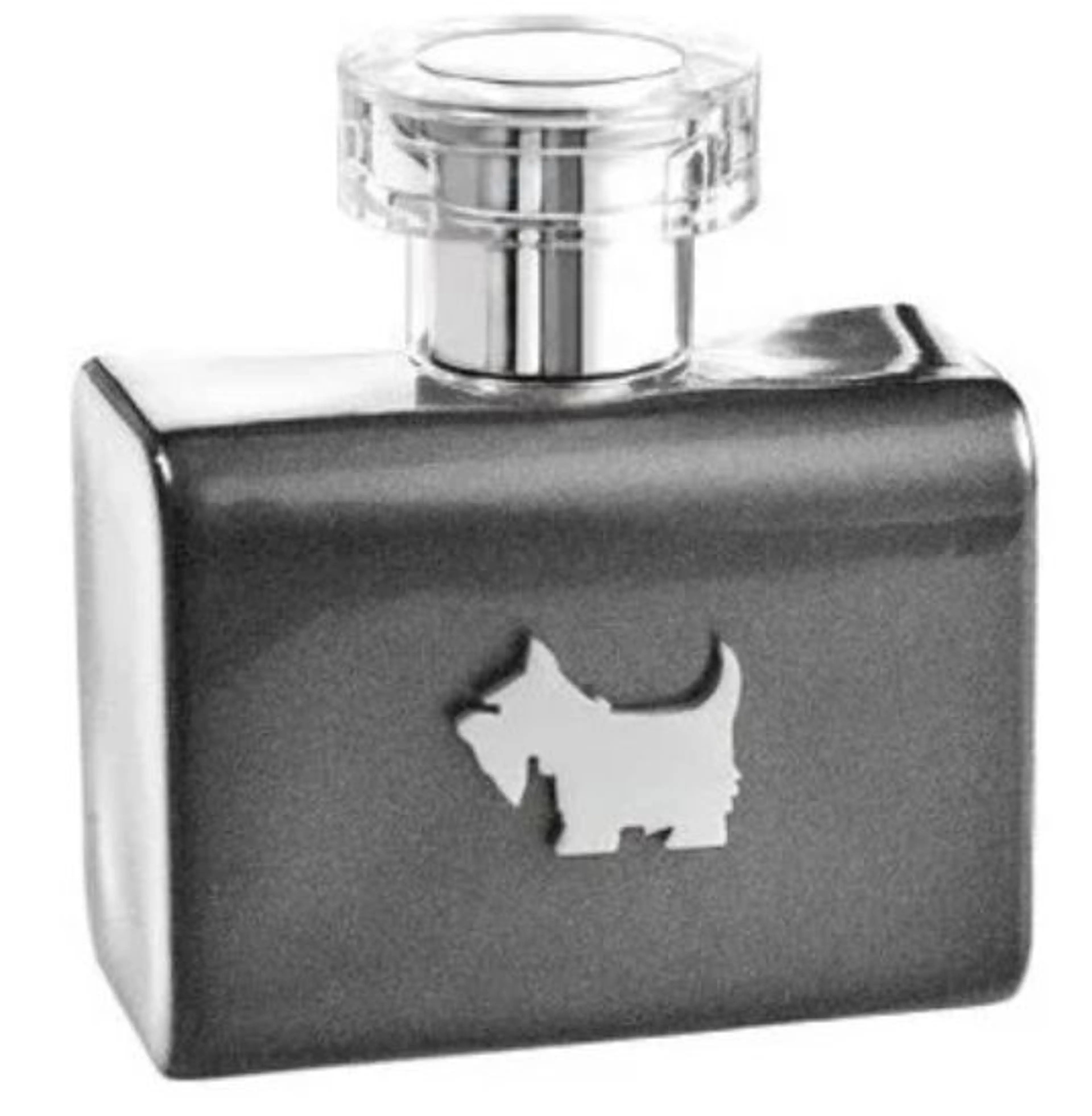 Terrier Grey