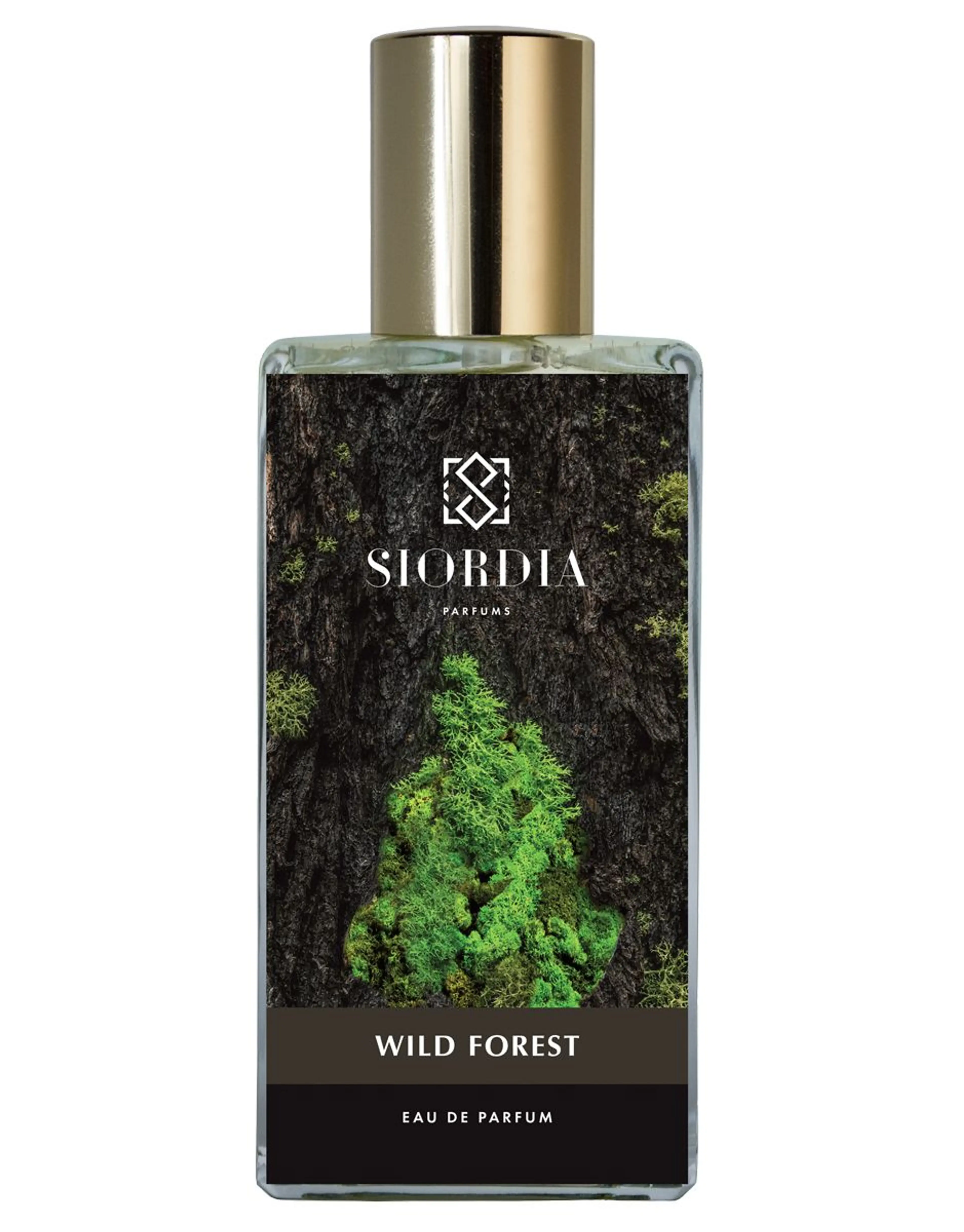 Wild Forest