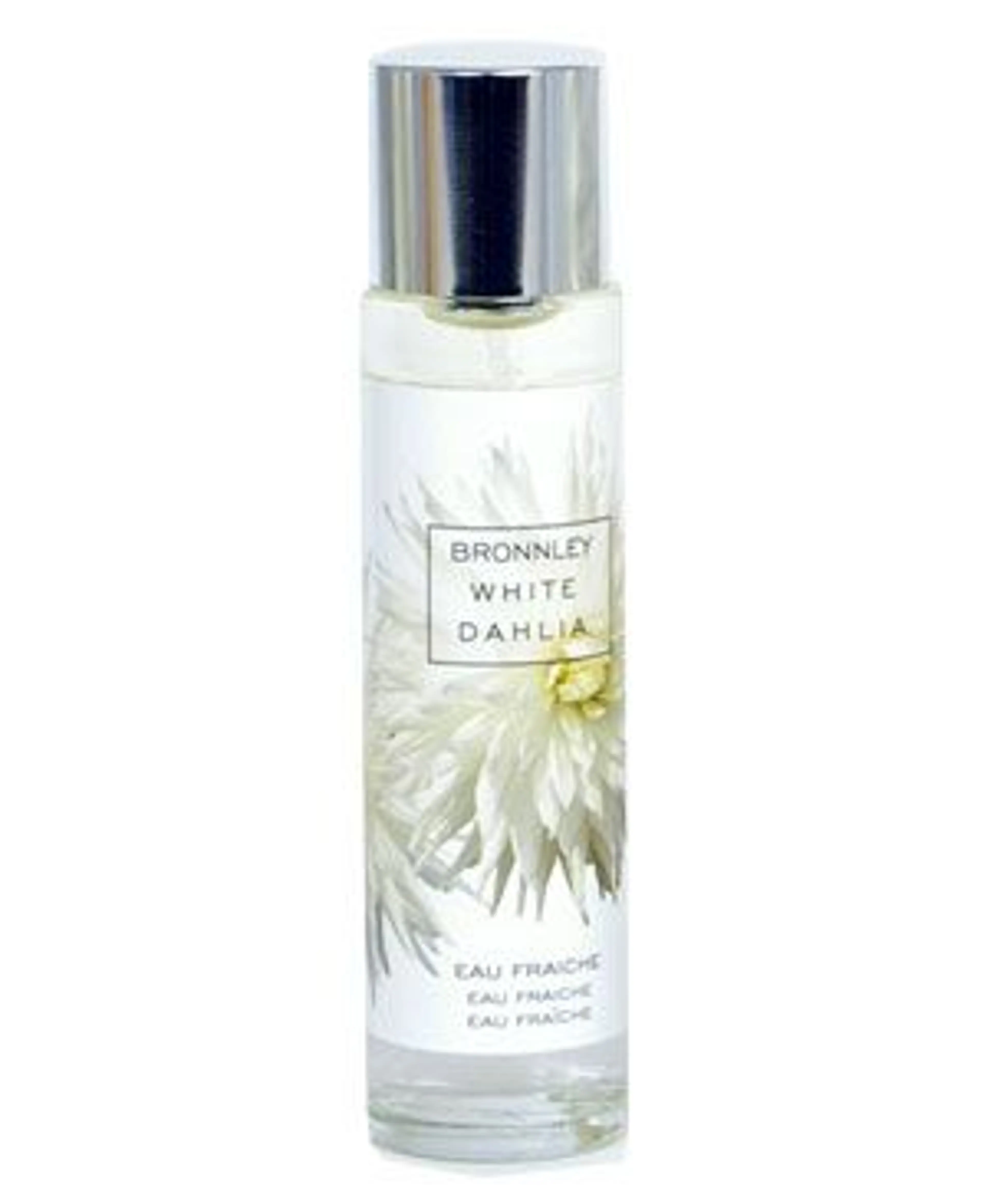 White Dahlia
