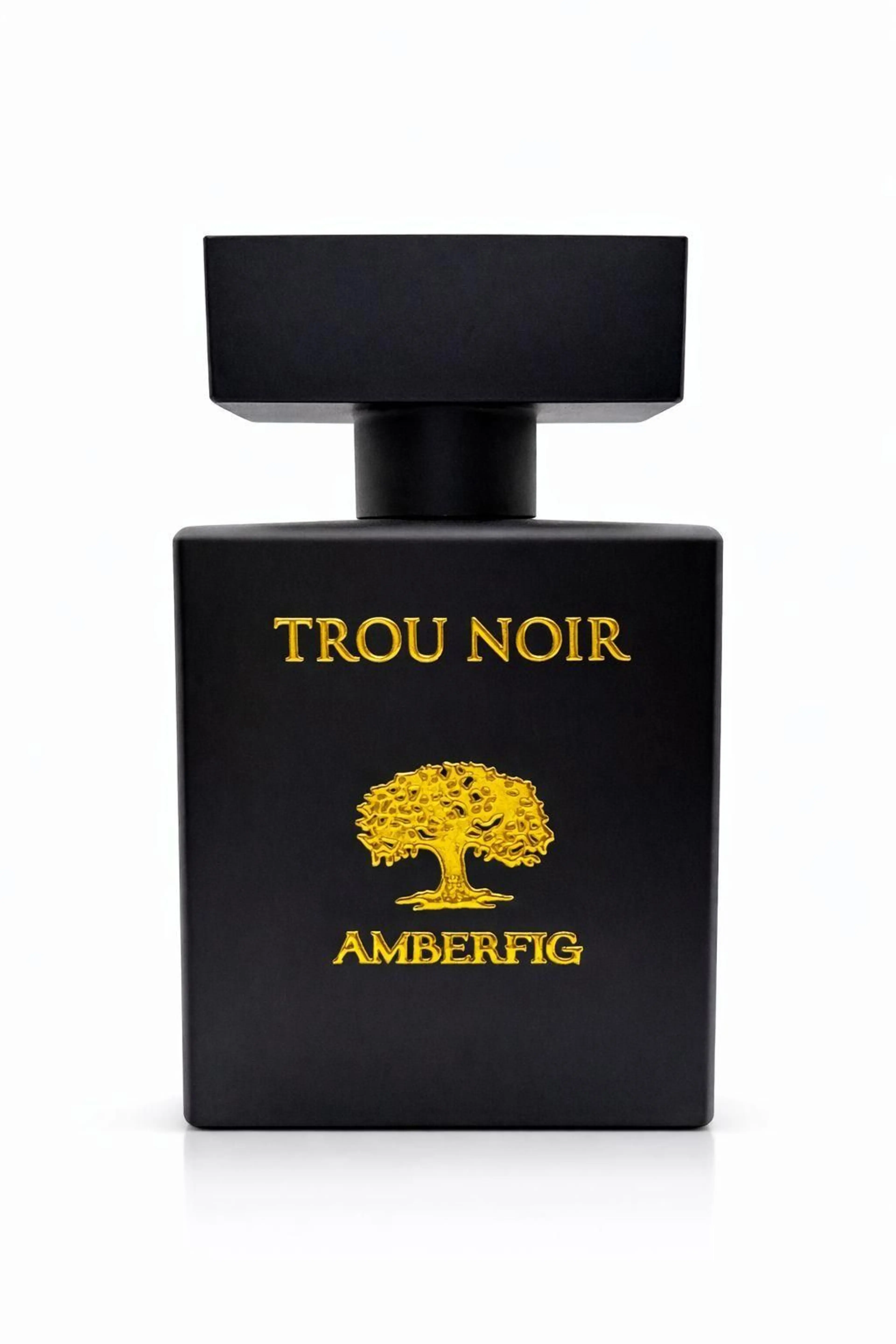 Trou Noir