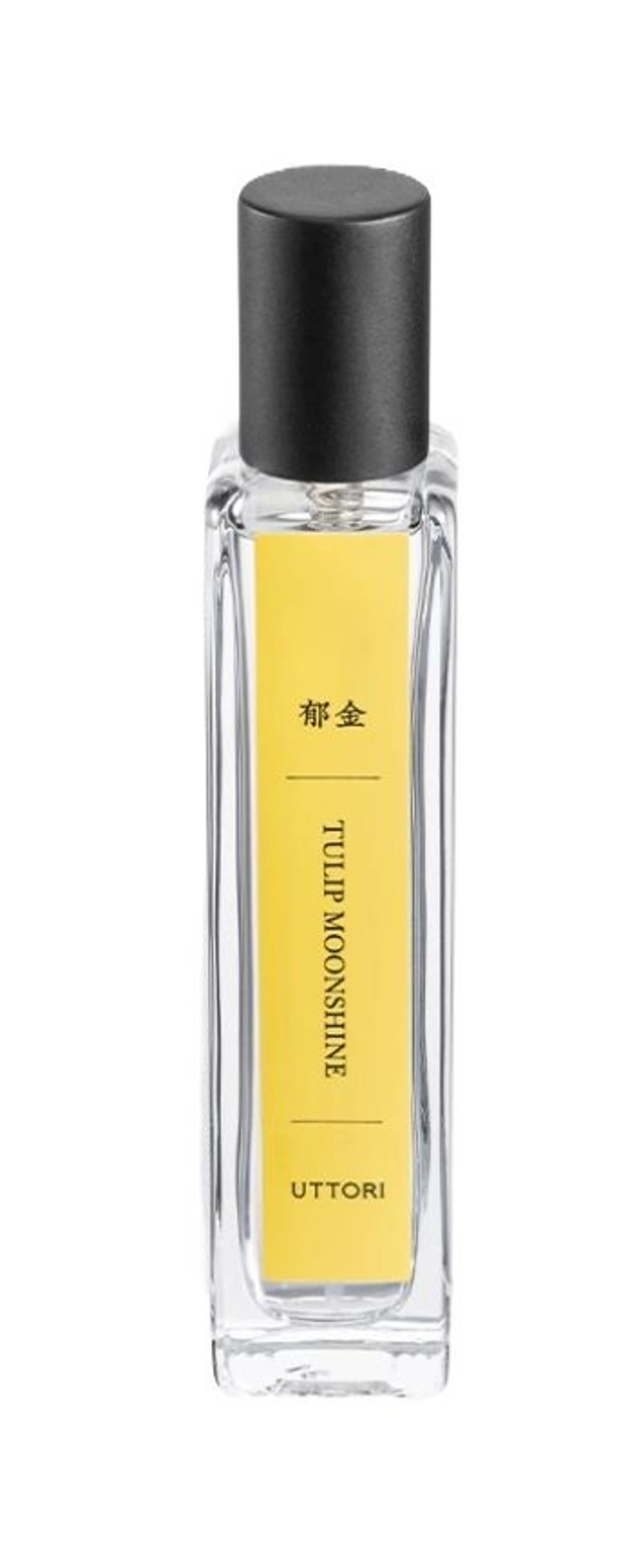 Tulip Moonshine 郁金
