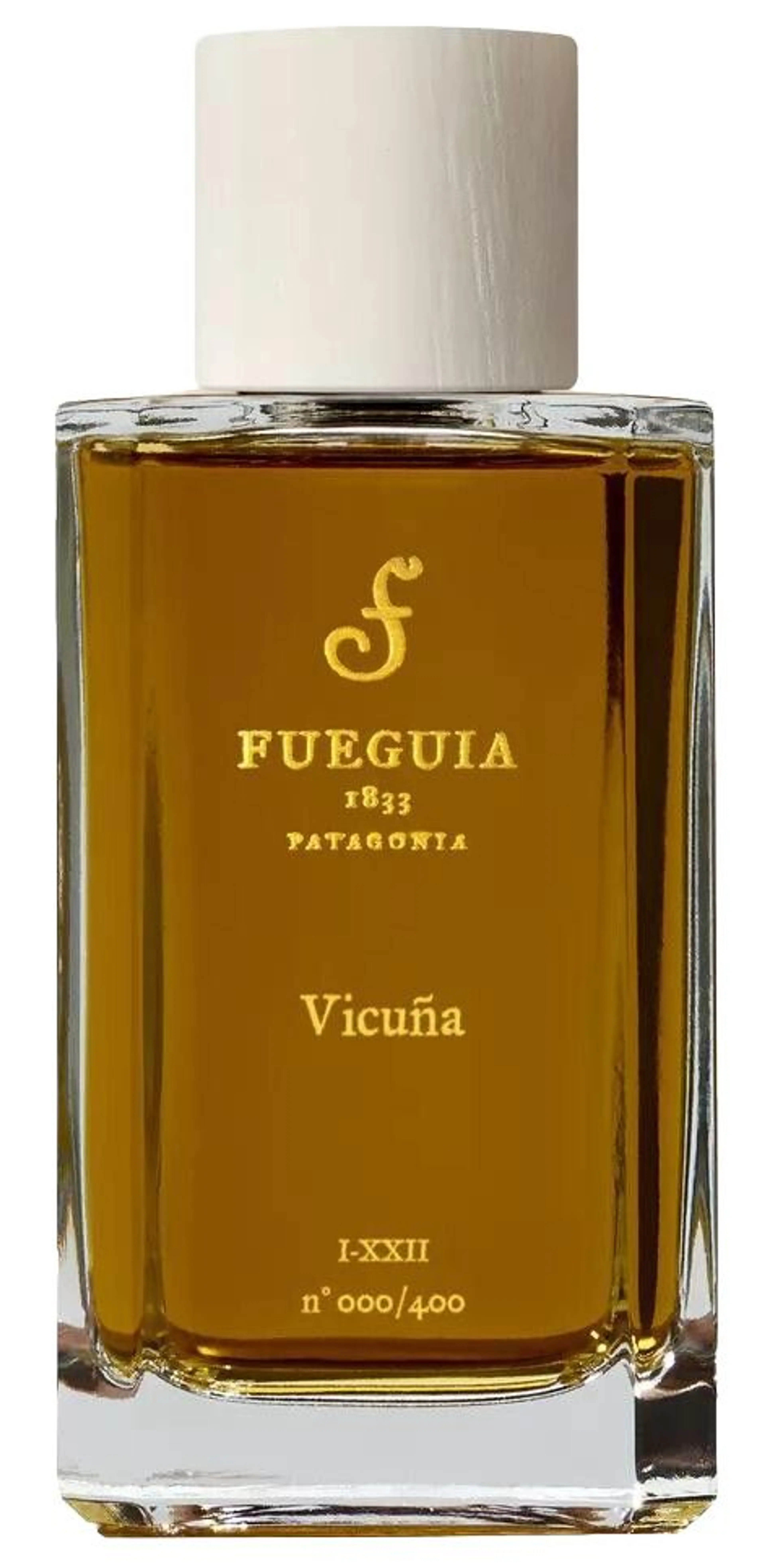Vicuña
