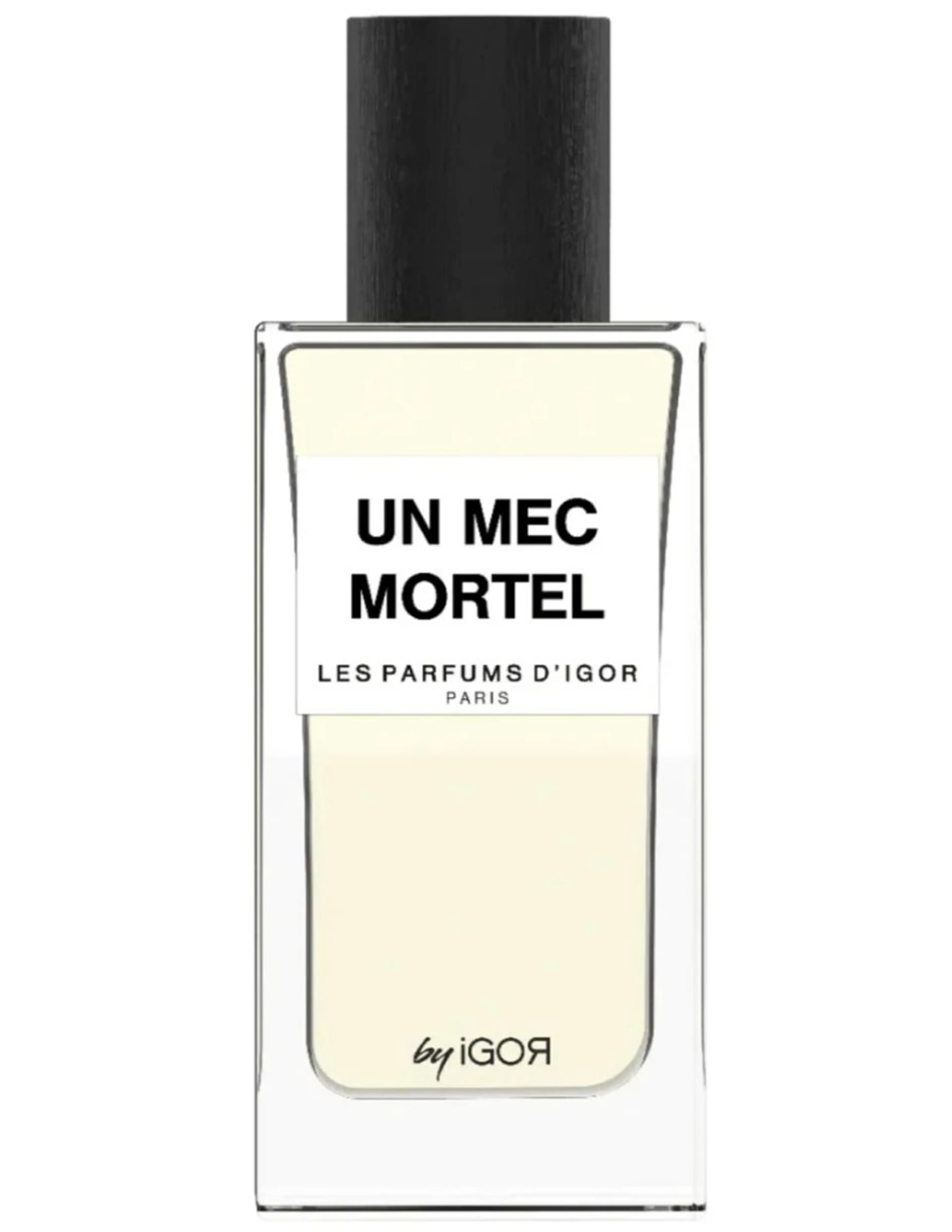 Un Mec Mortel