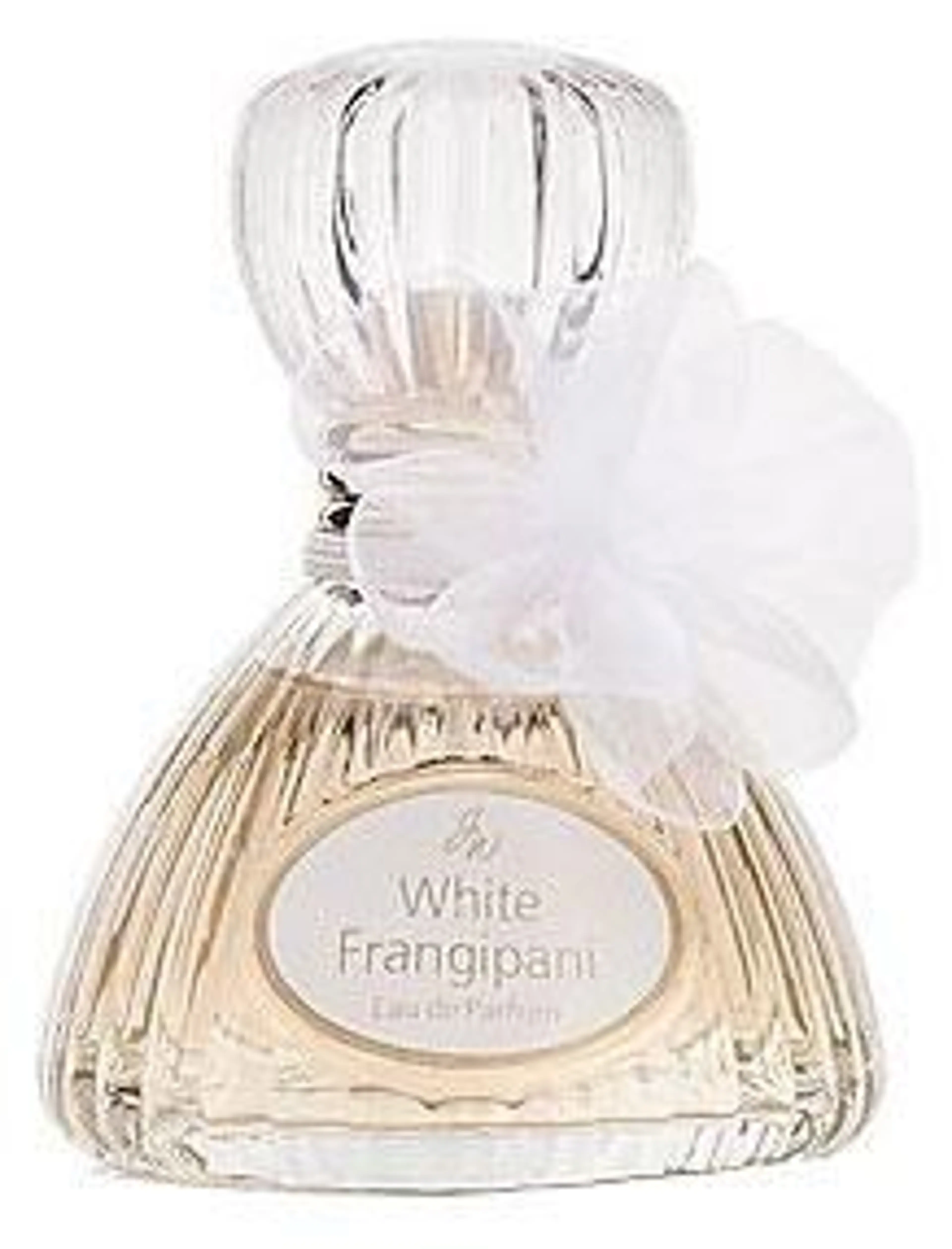 White Frangipani