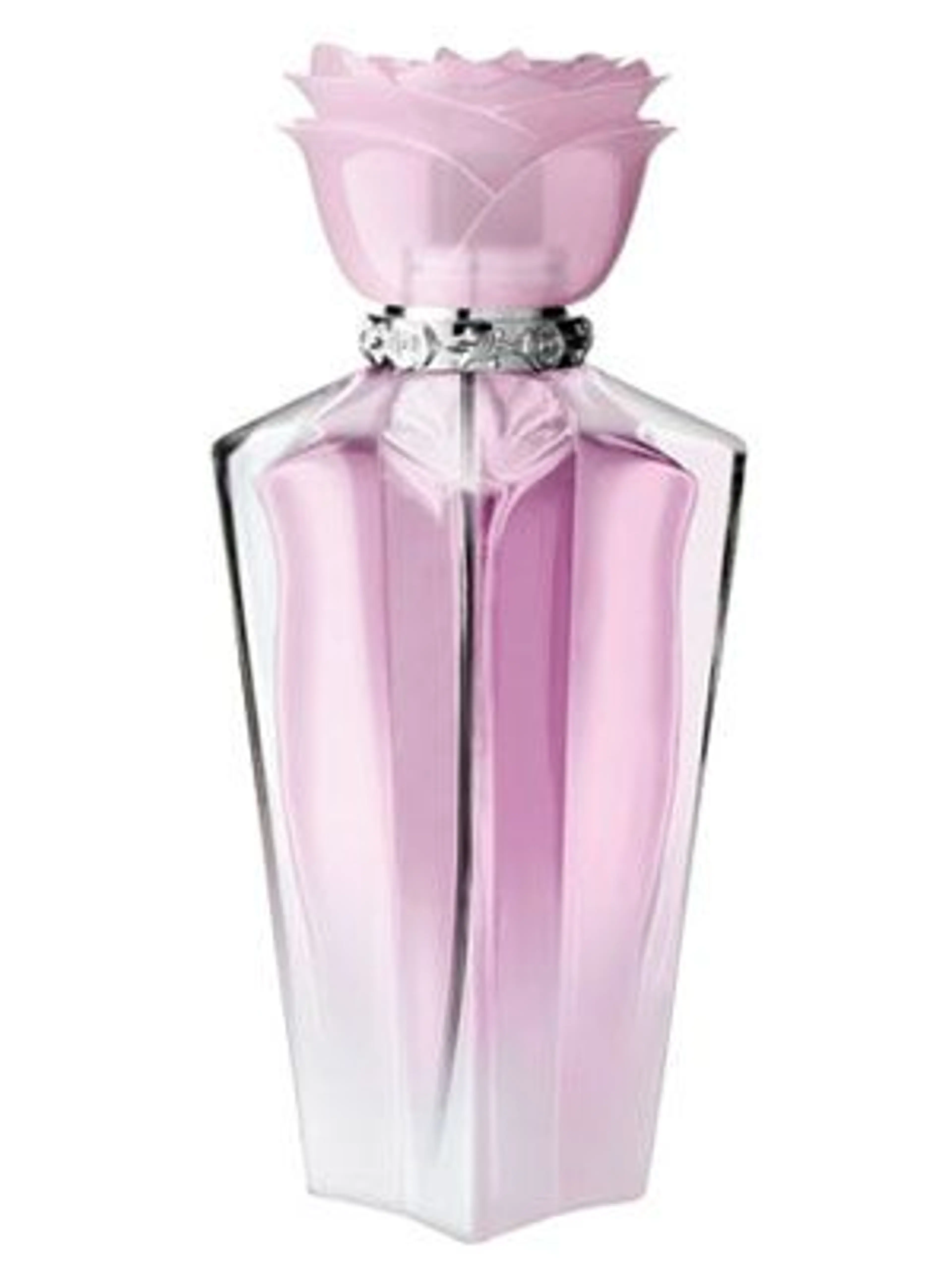 Wild Rose