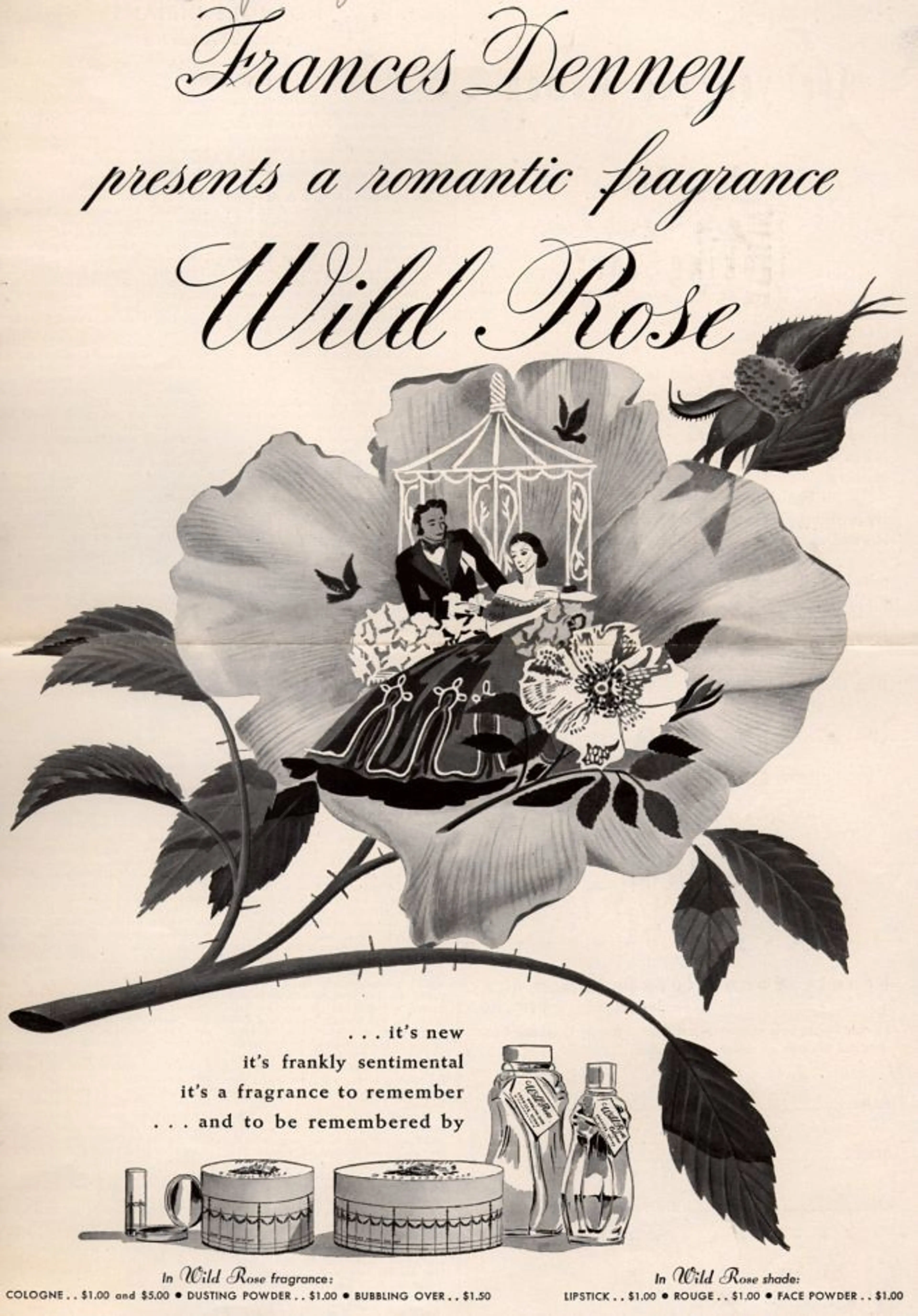 Wild Rose