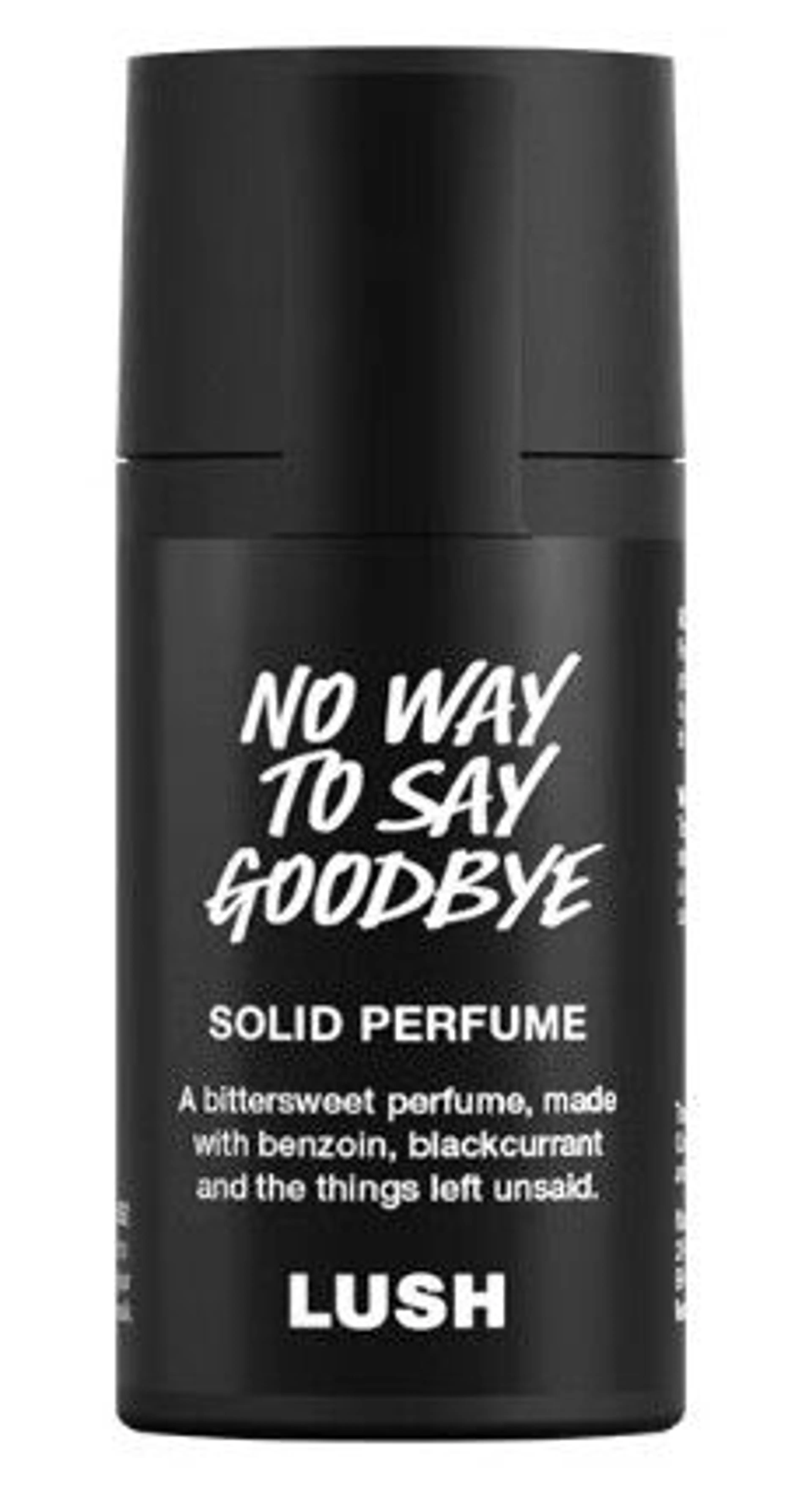 No Way To Say Goodbye