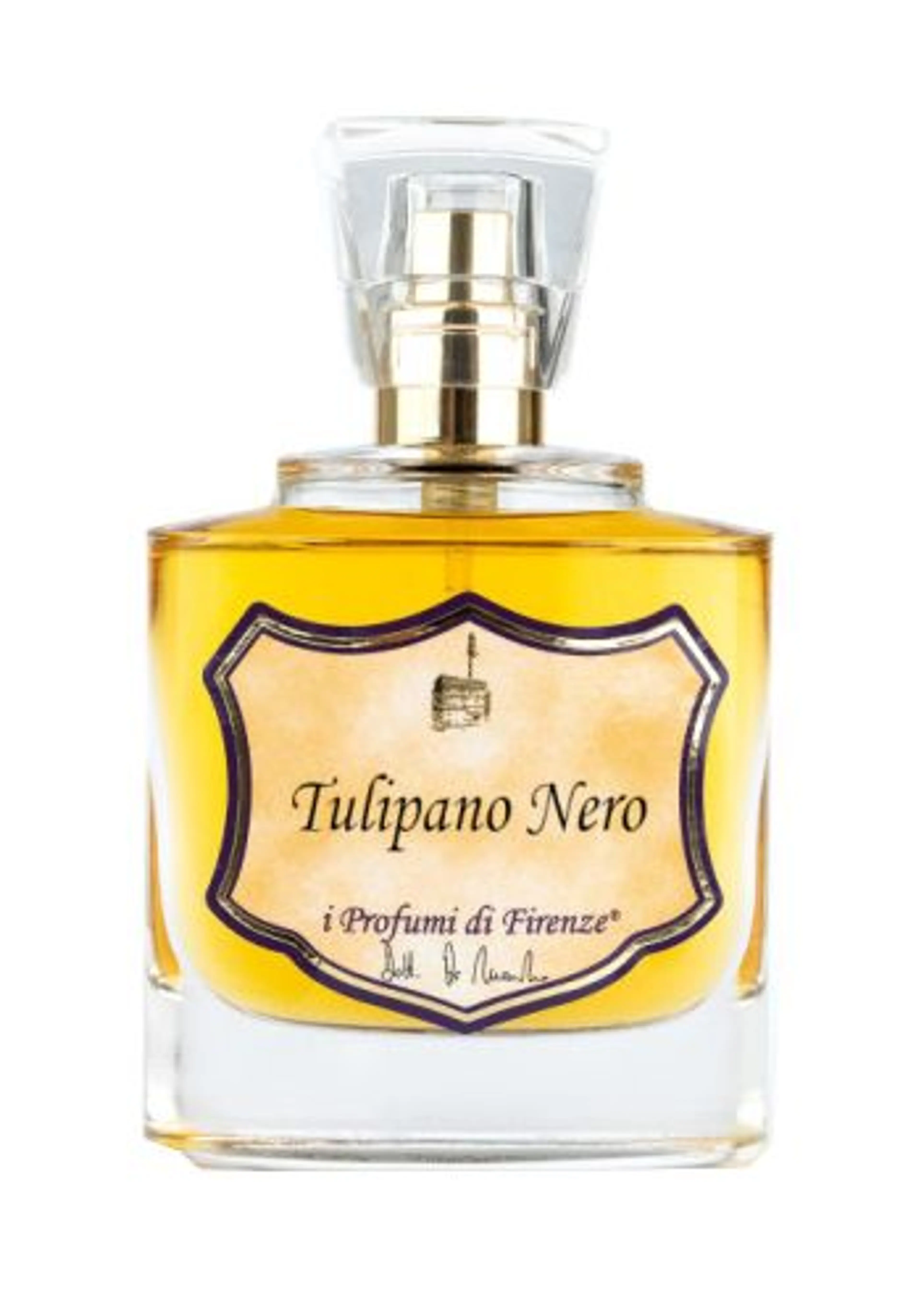 Tulipano Nero