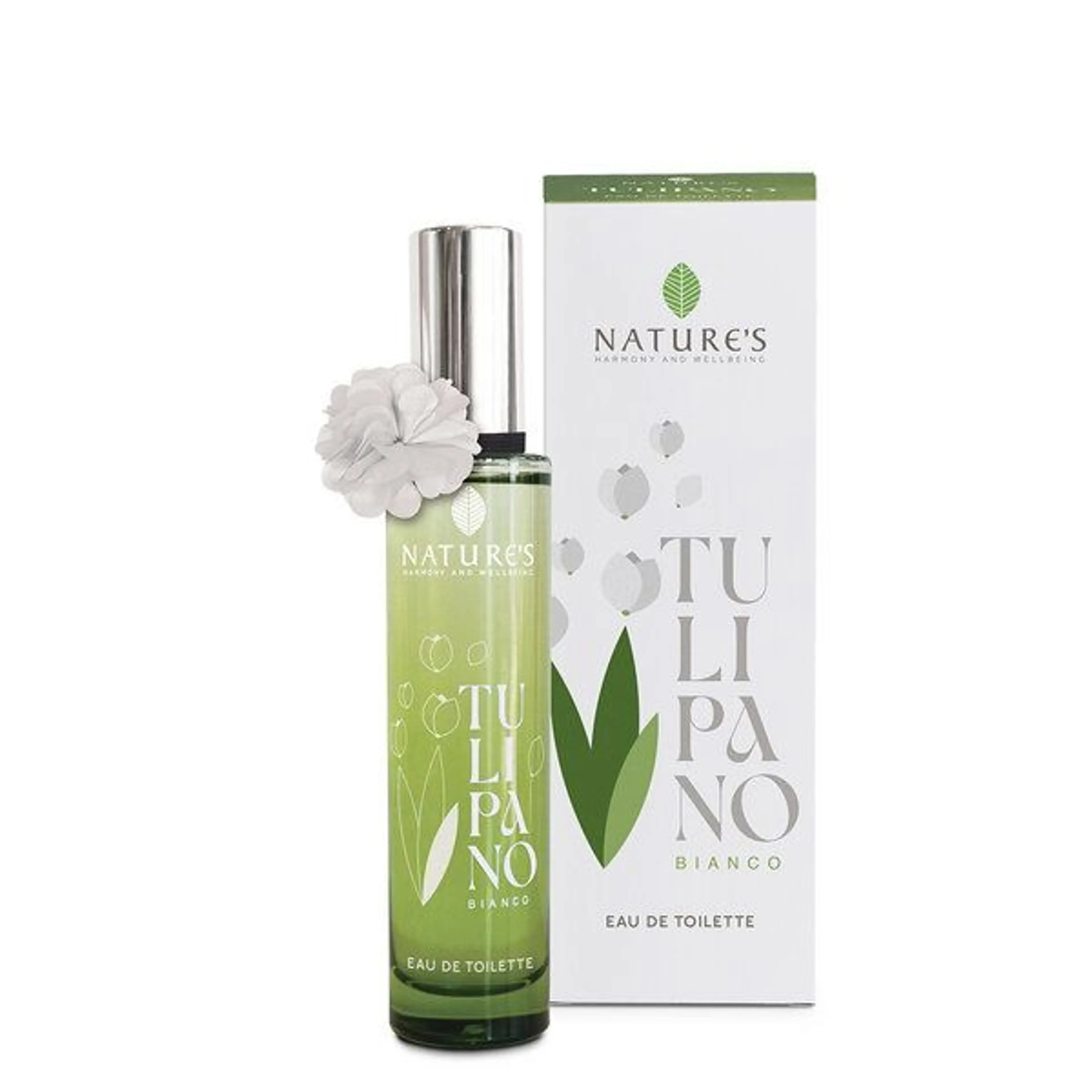 Tulipano Bianco