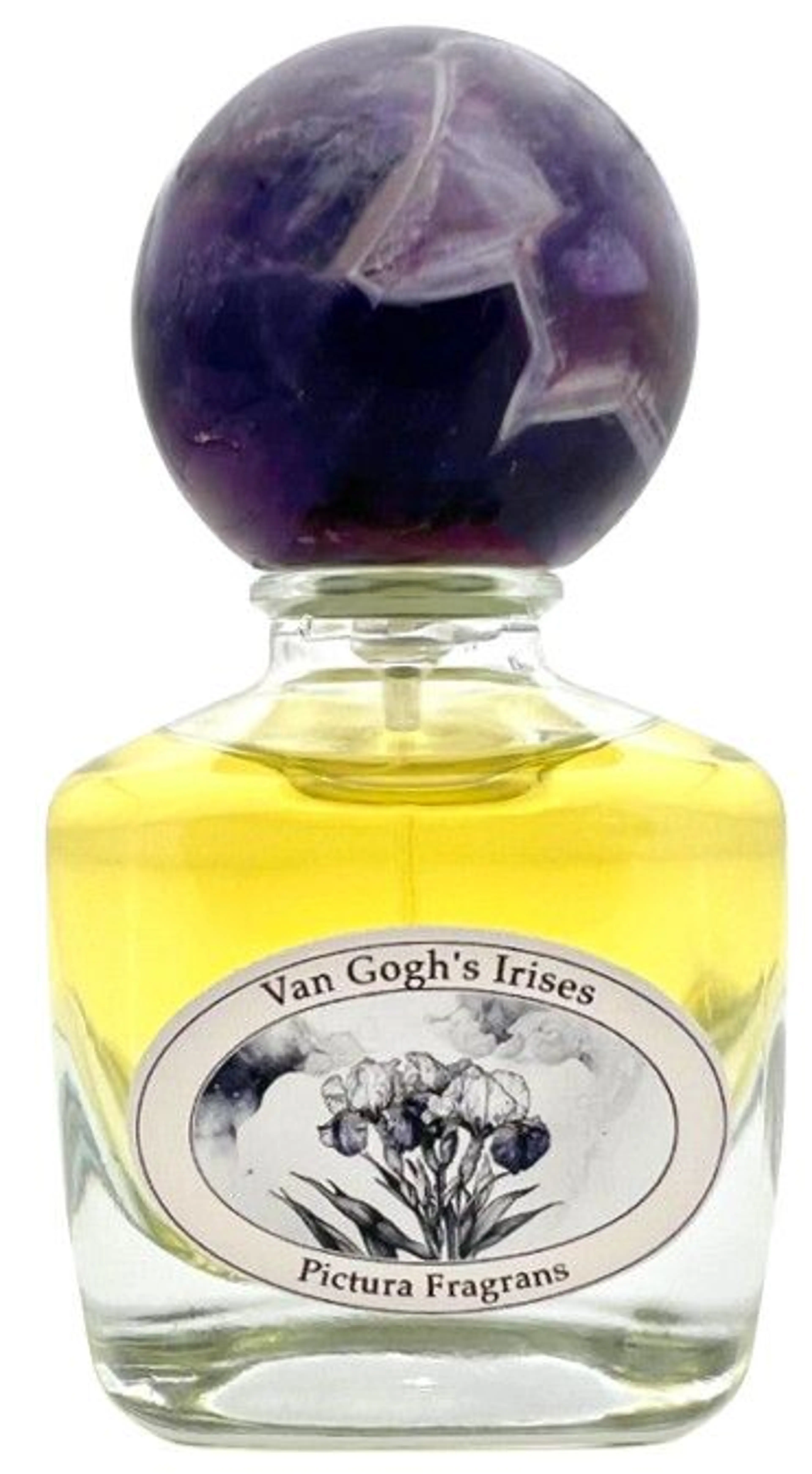 Van Gogh’s Irises