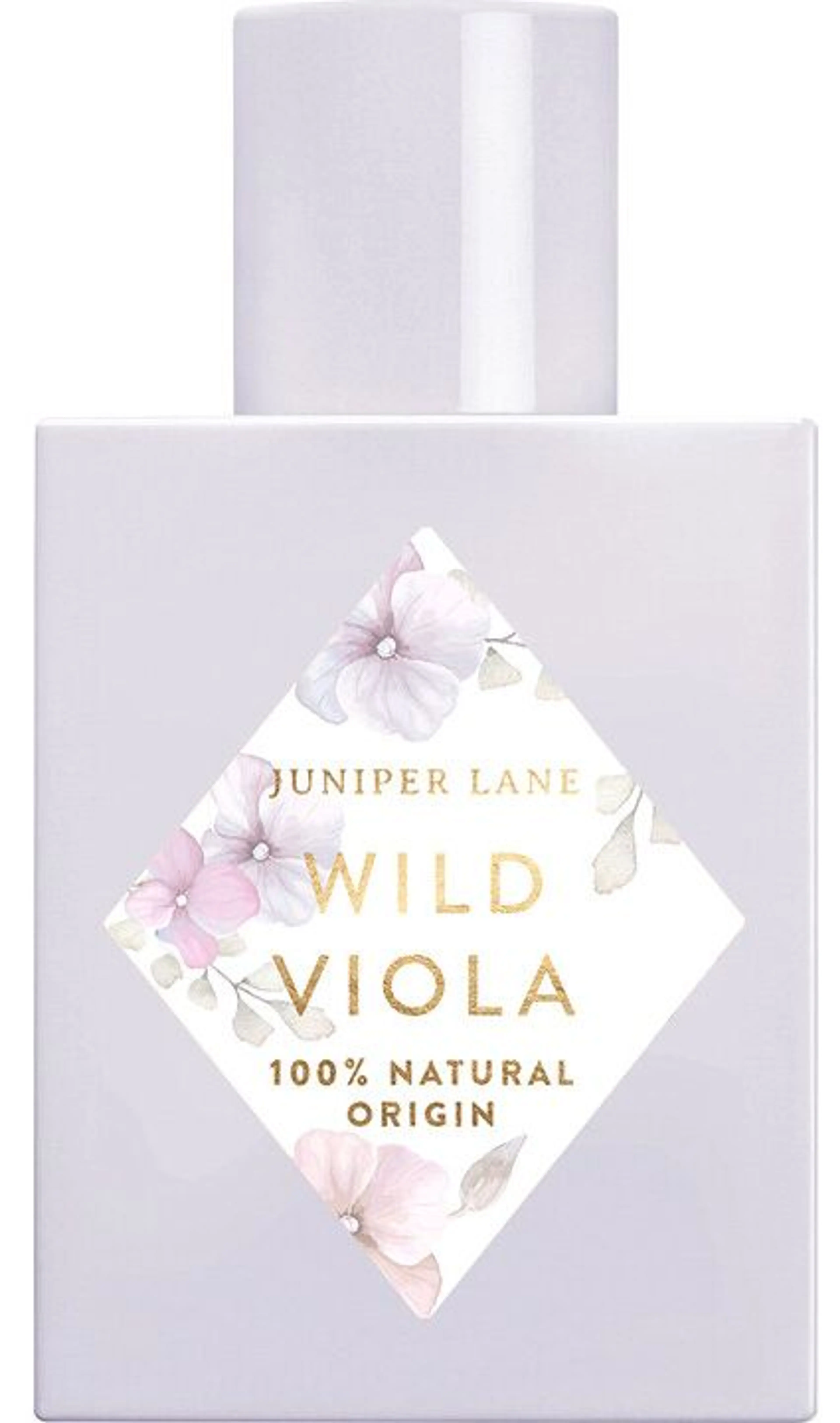 Wild Viola