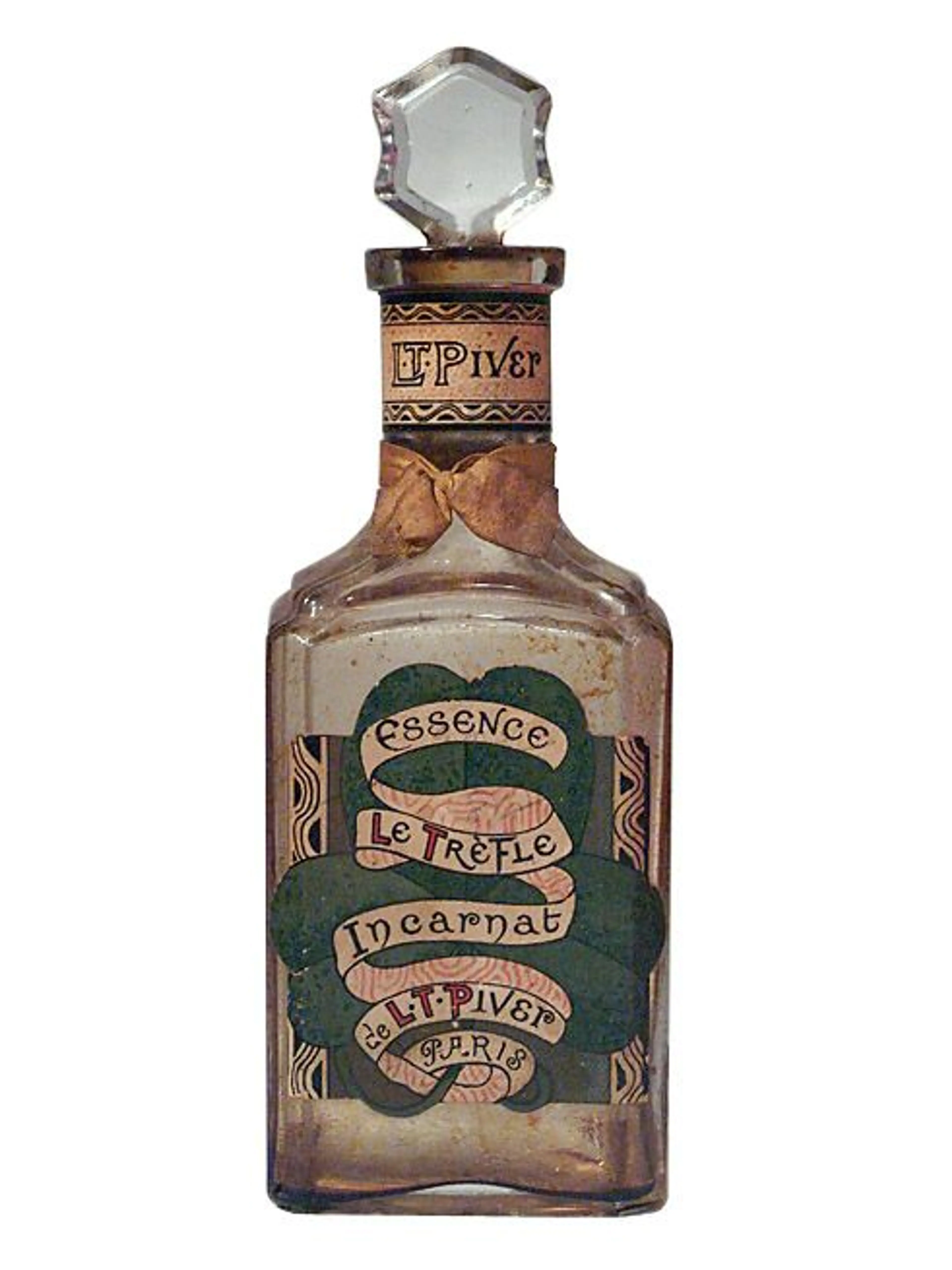 Trèfle Incarnat