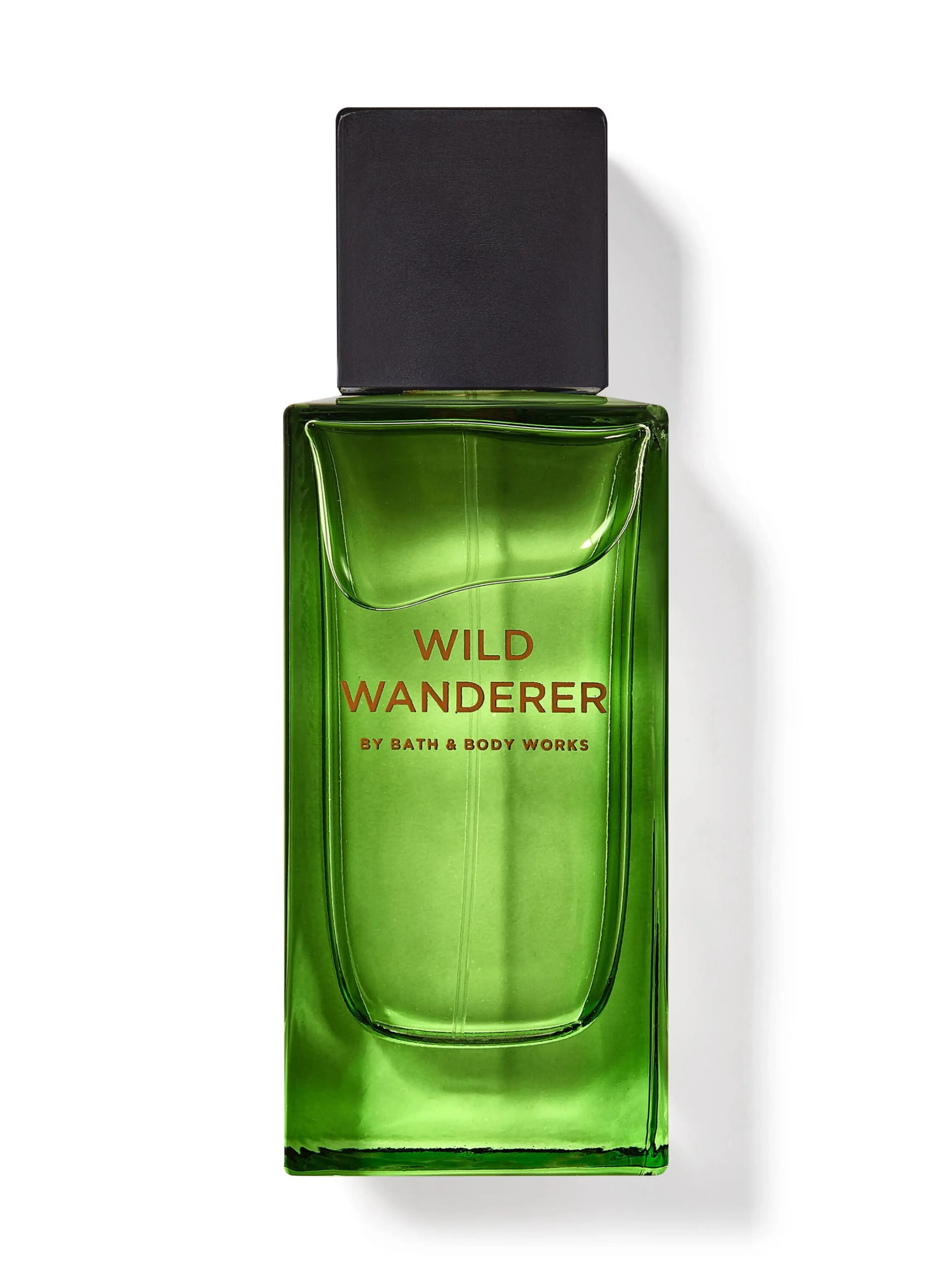 Wild Wanderer