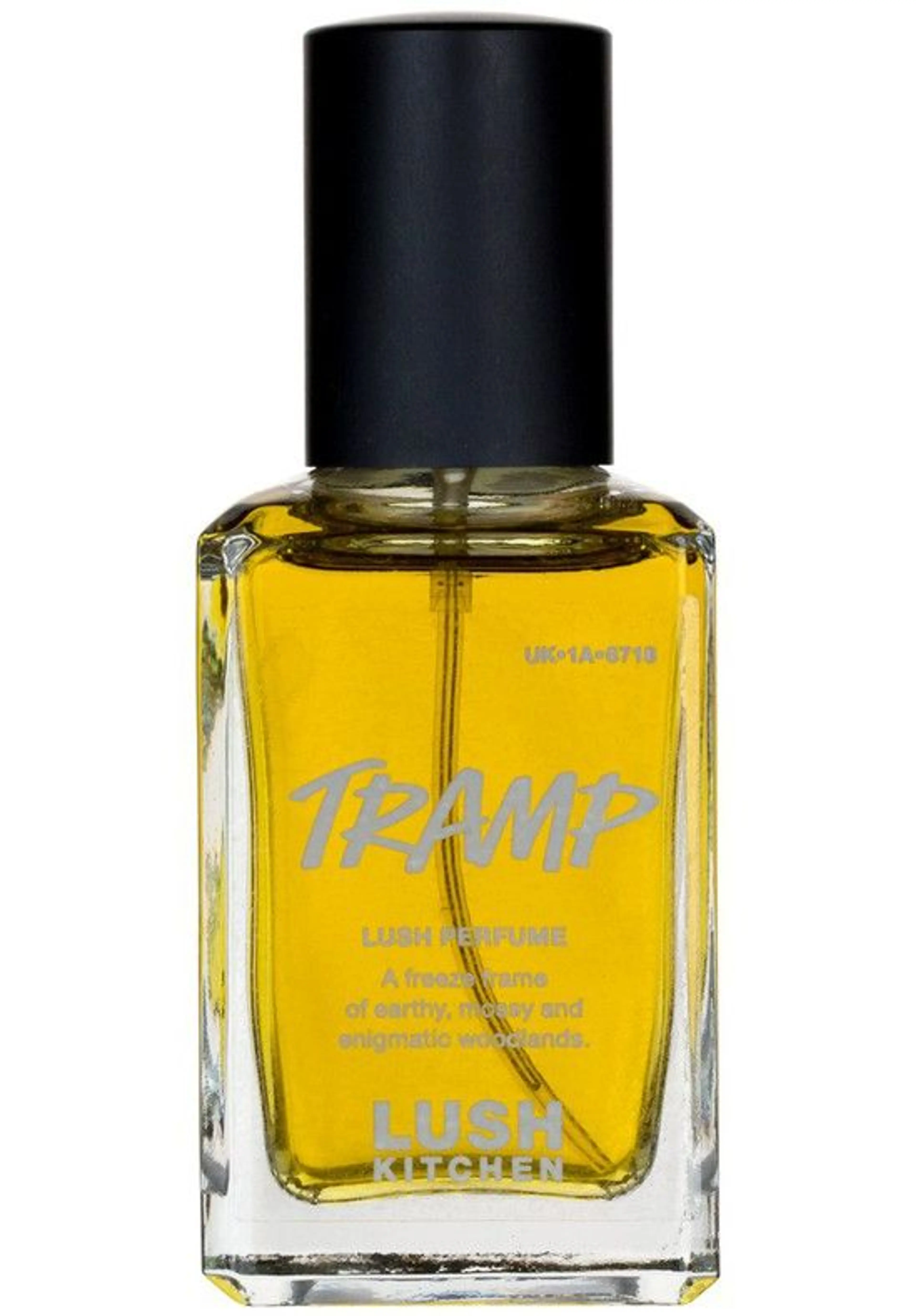 Tramp