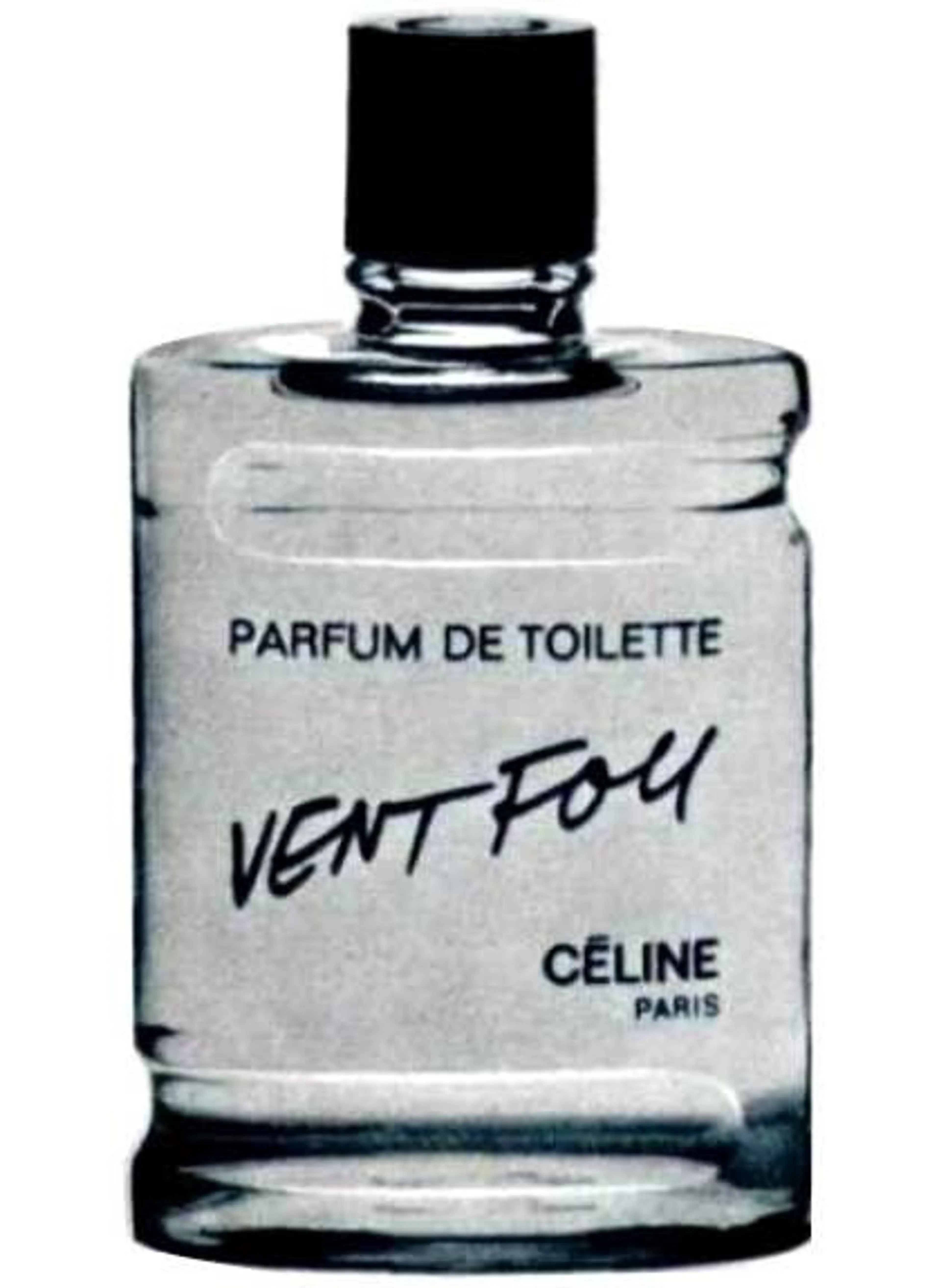 Vent Fou