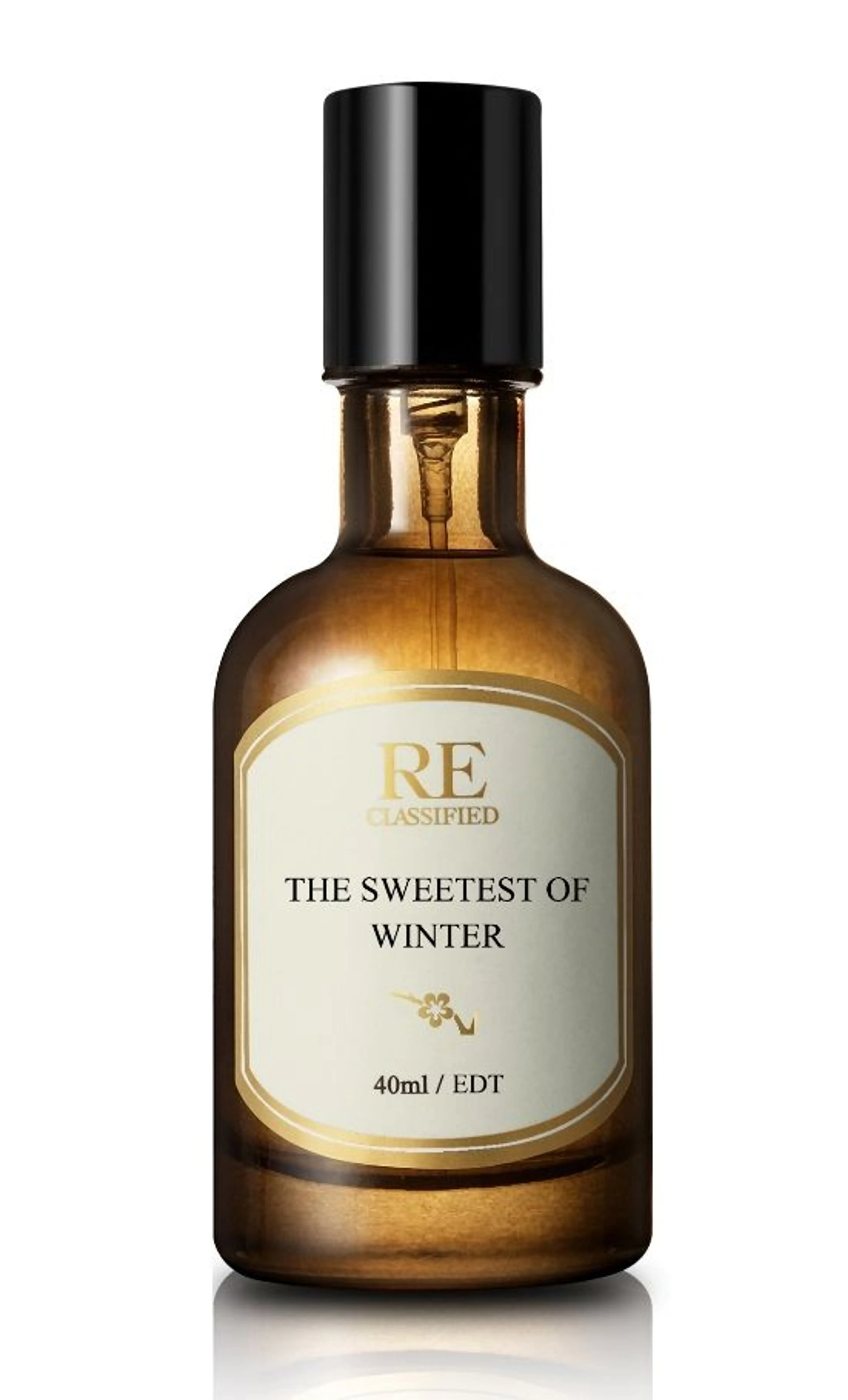 The Sweetest of Winter 寒香冬梅