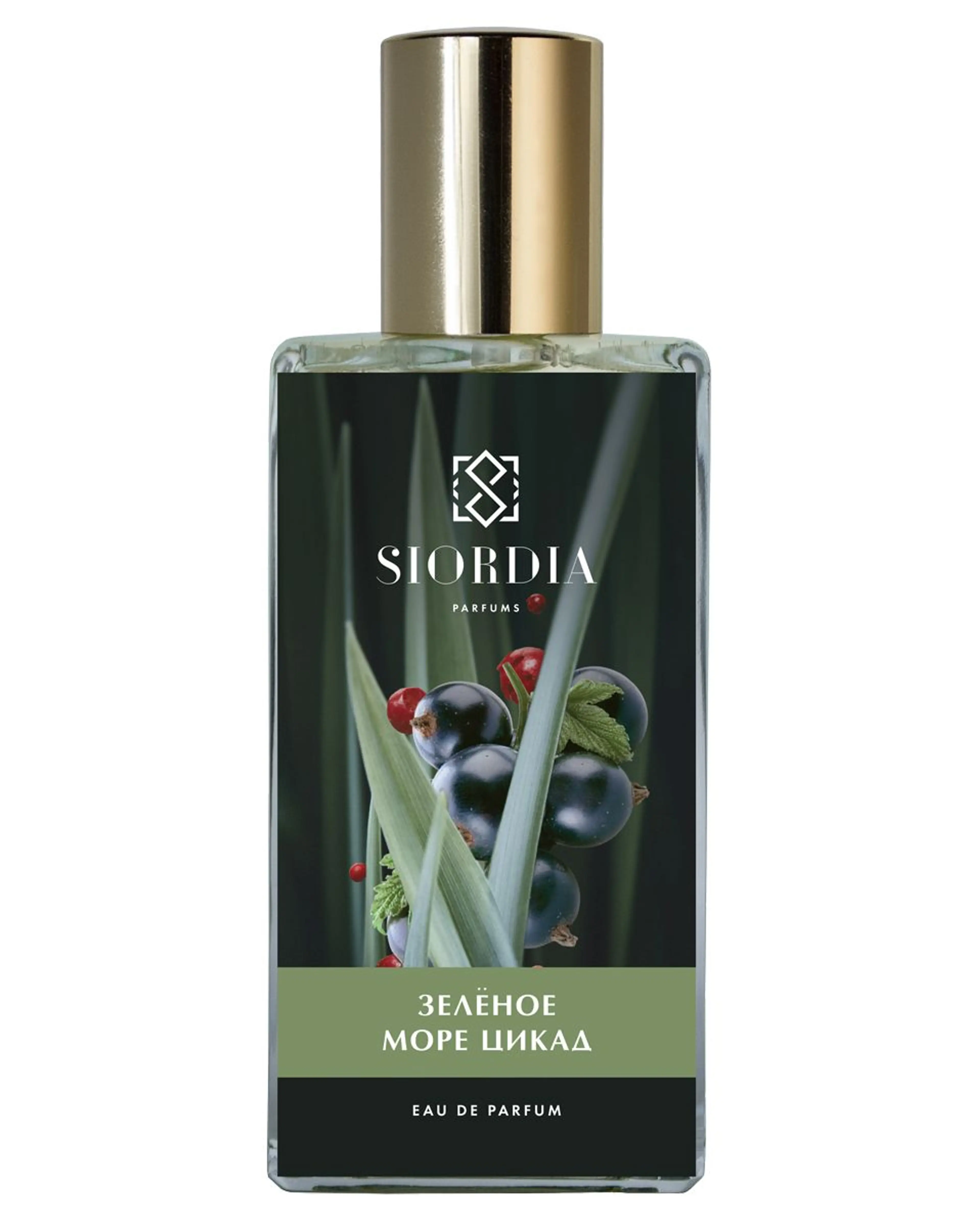 The Green Sea of Сicadas (Зеленое Море Цикад)