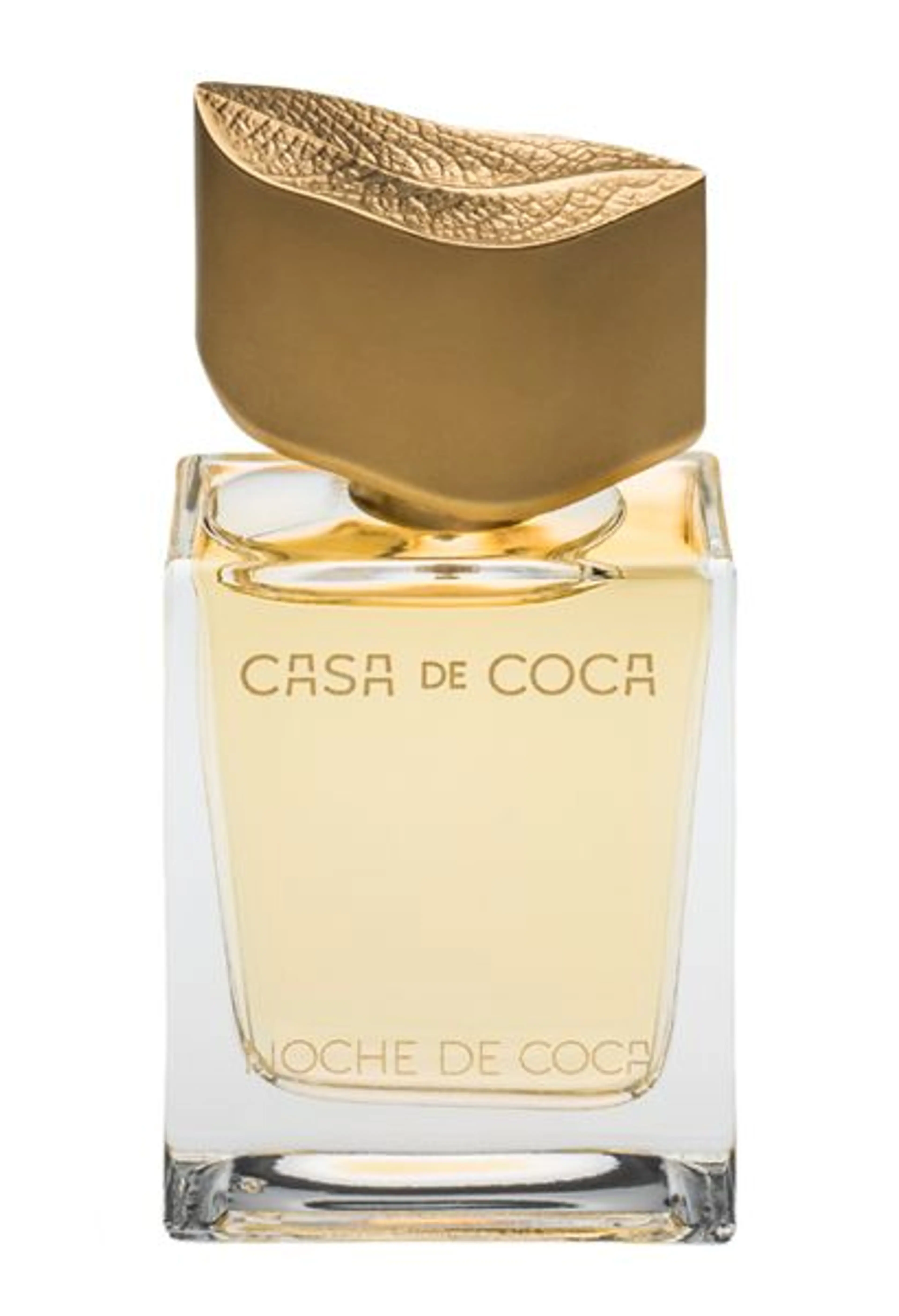 Noche de Coca