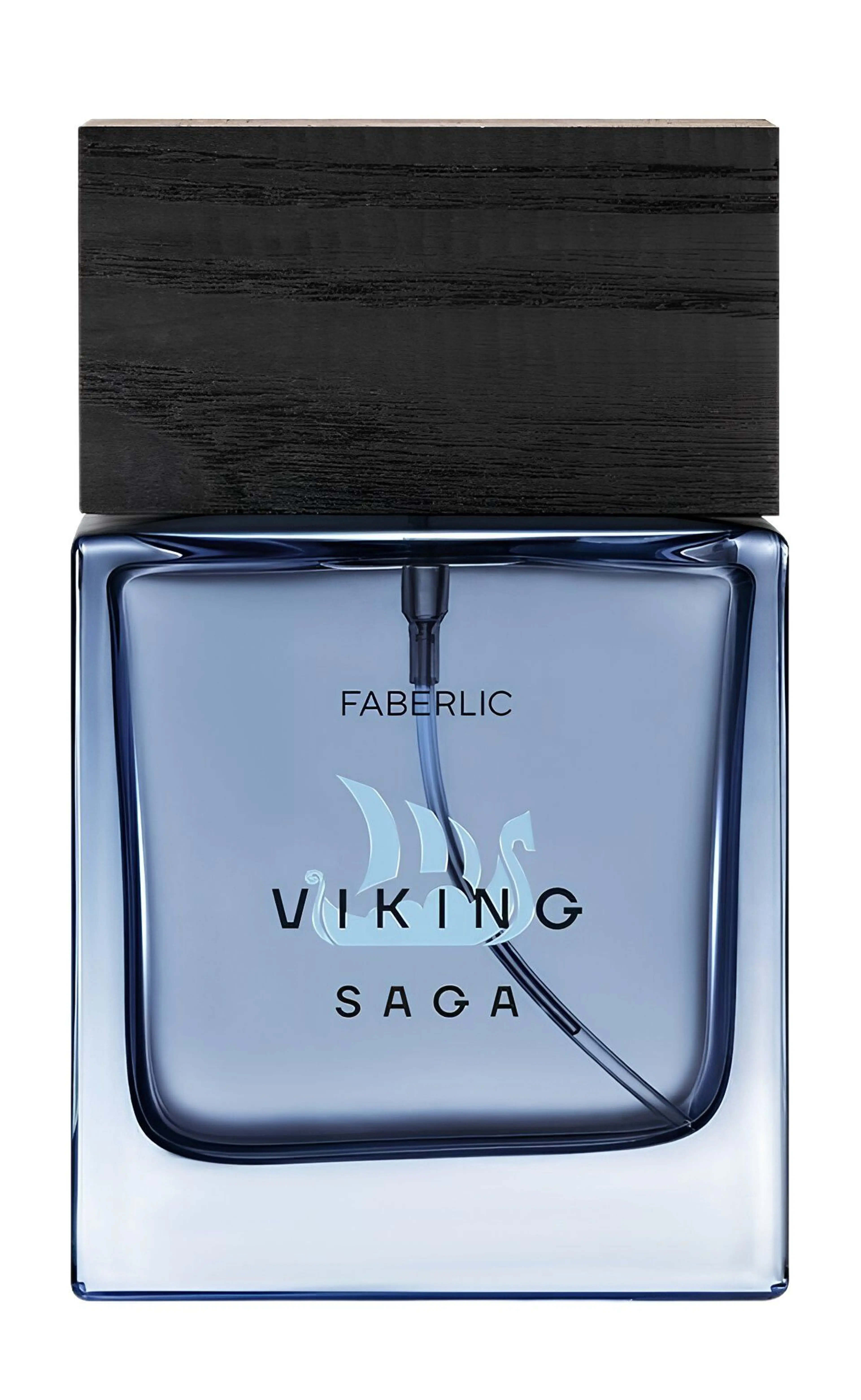 Viking Saga