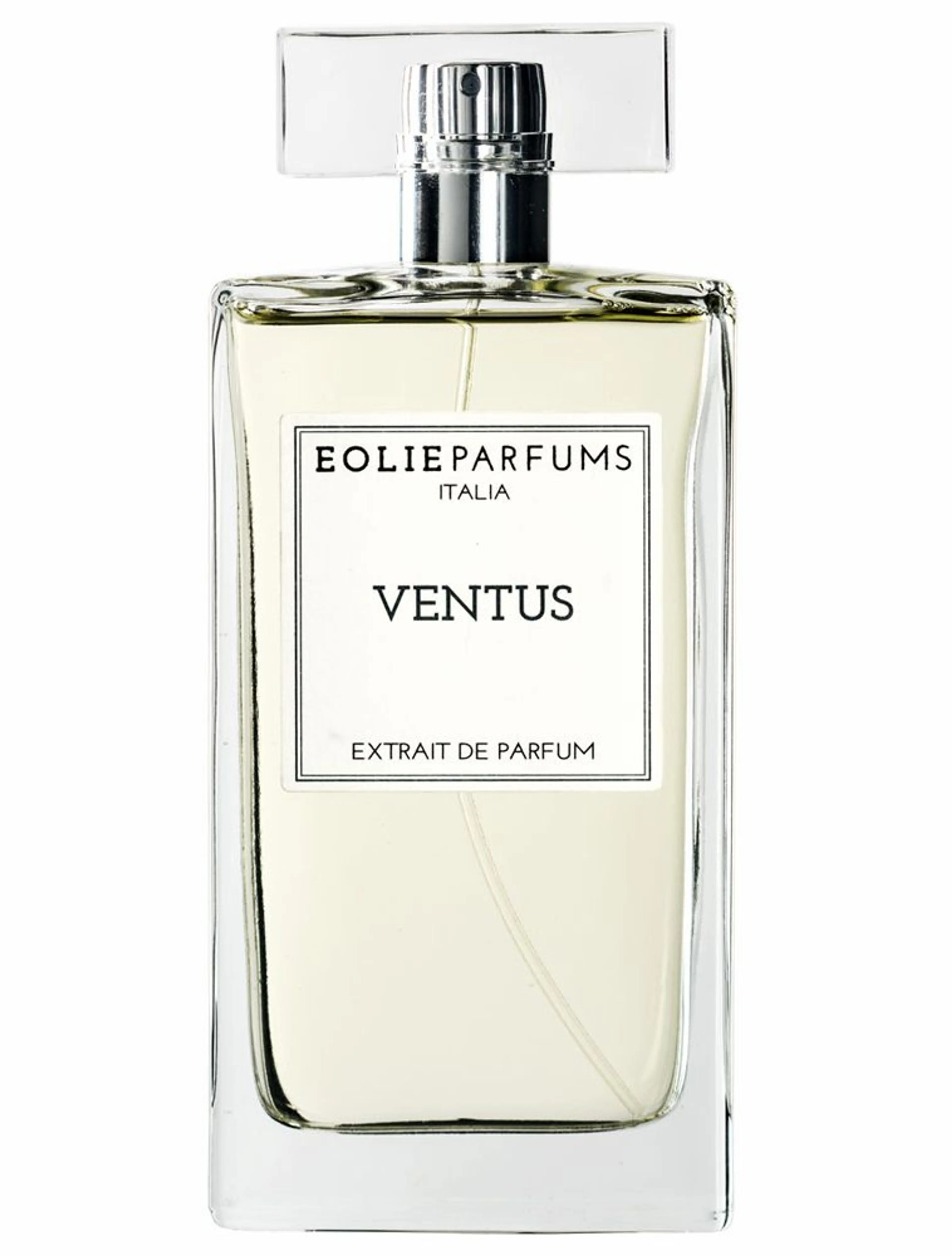 Ventus