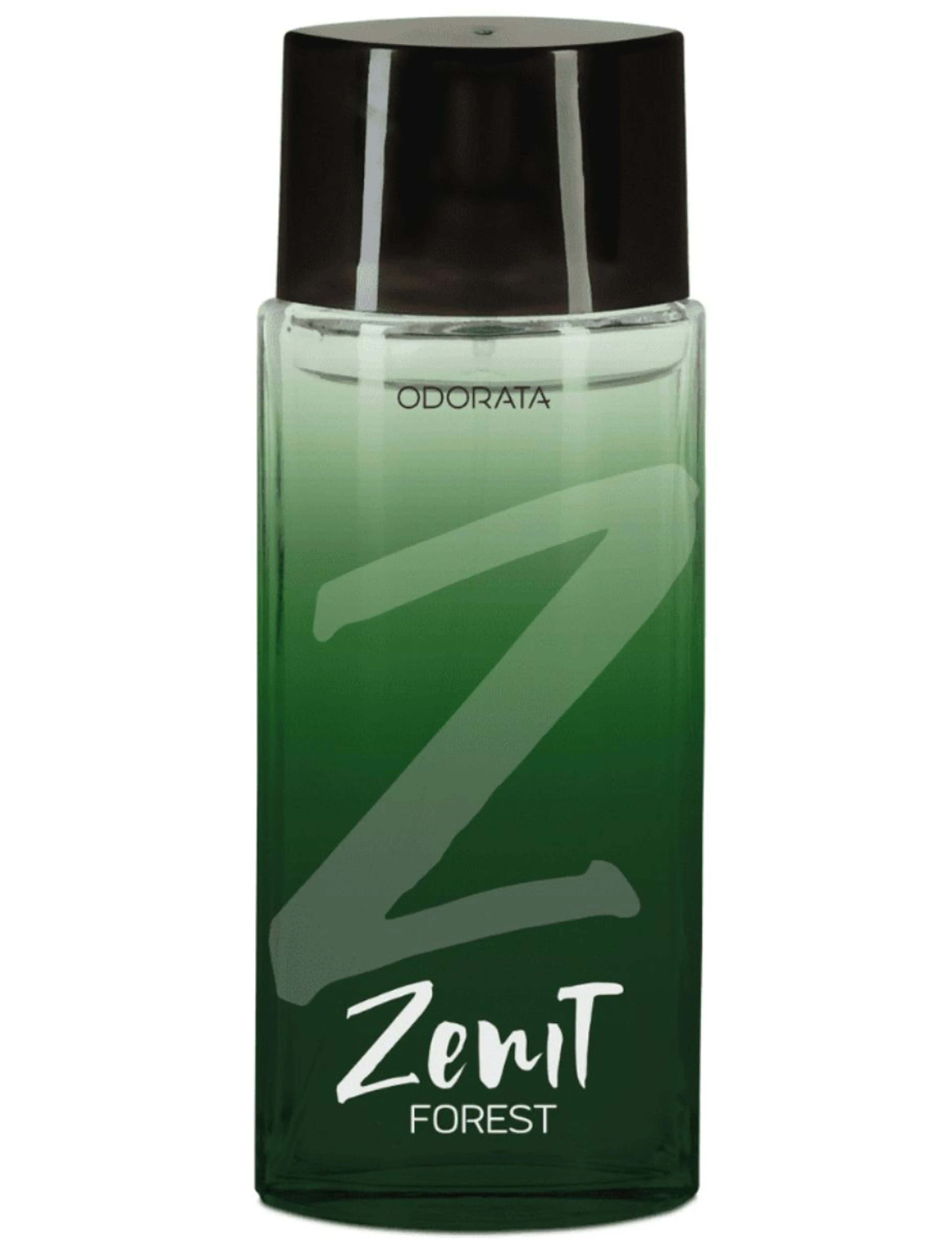 Zenit Forest