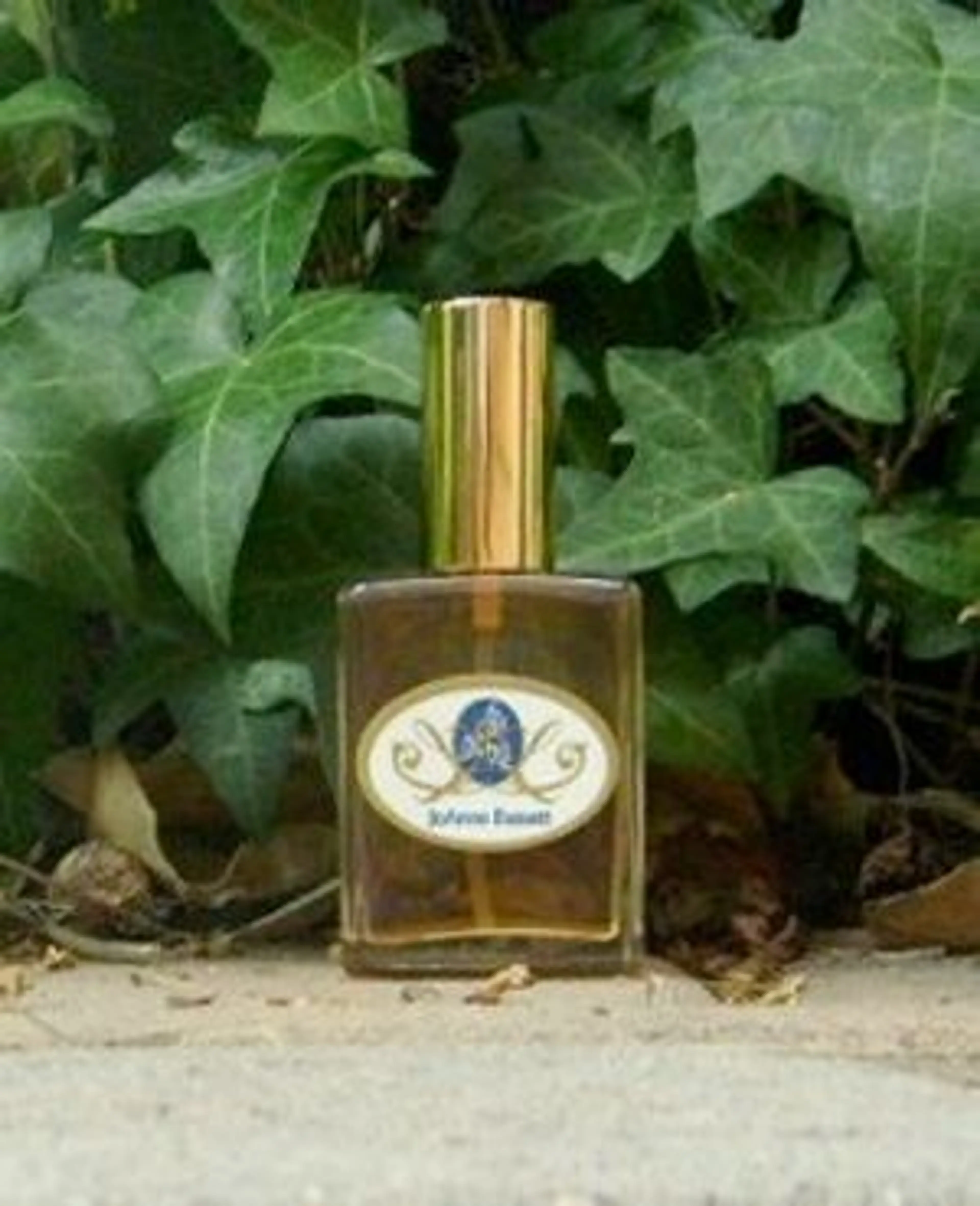 Venus Amber