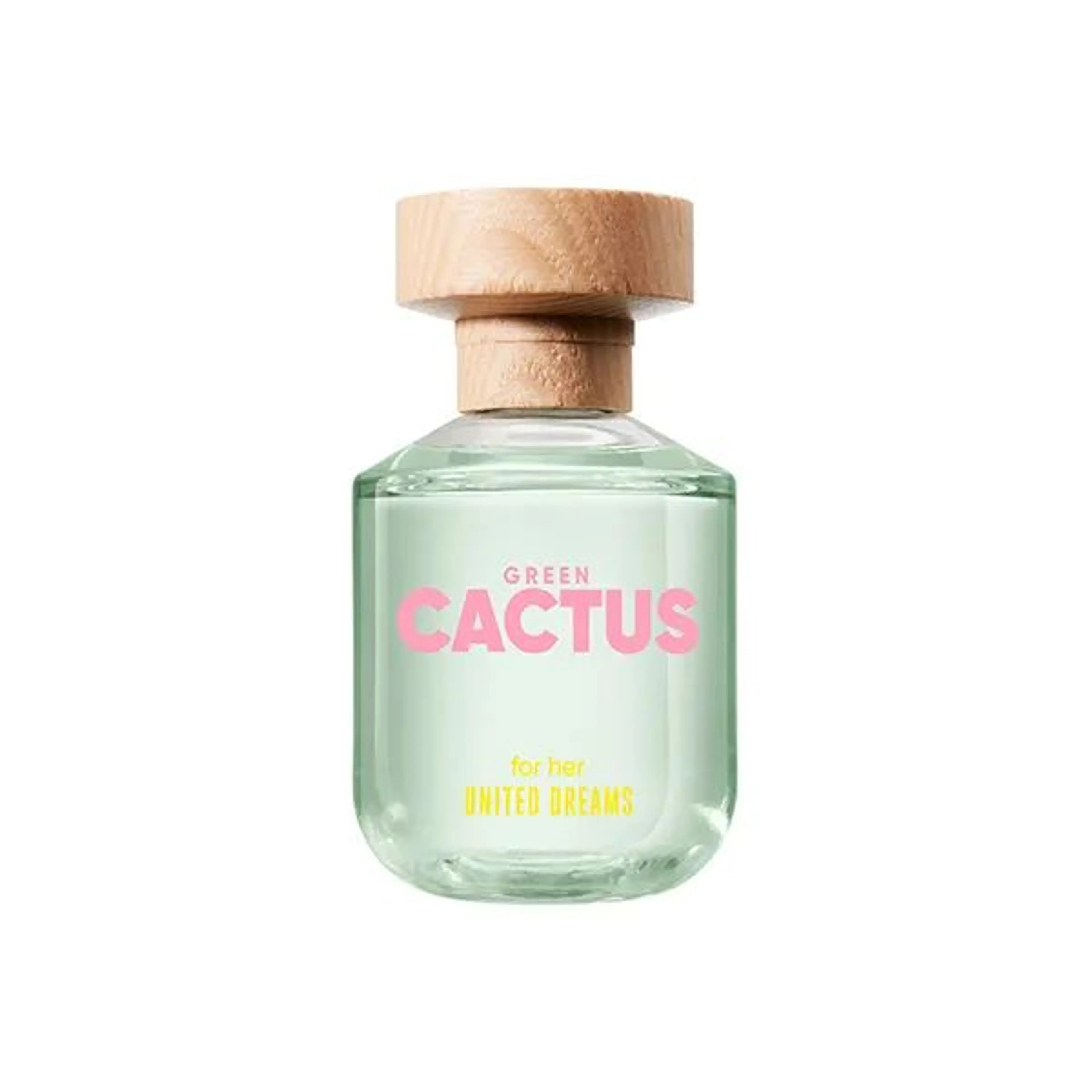 United Dreams Green Cactus For Her