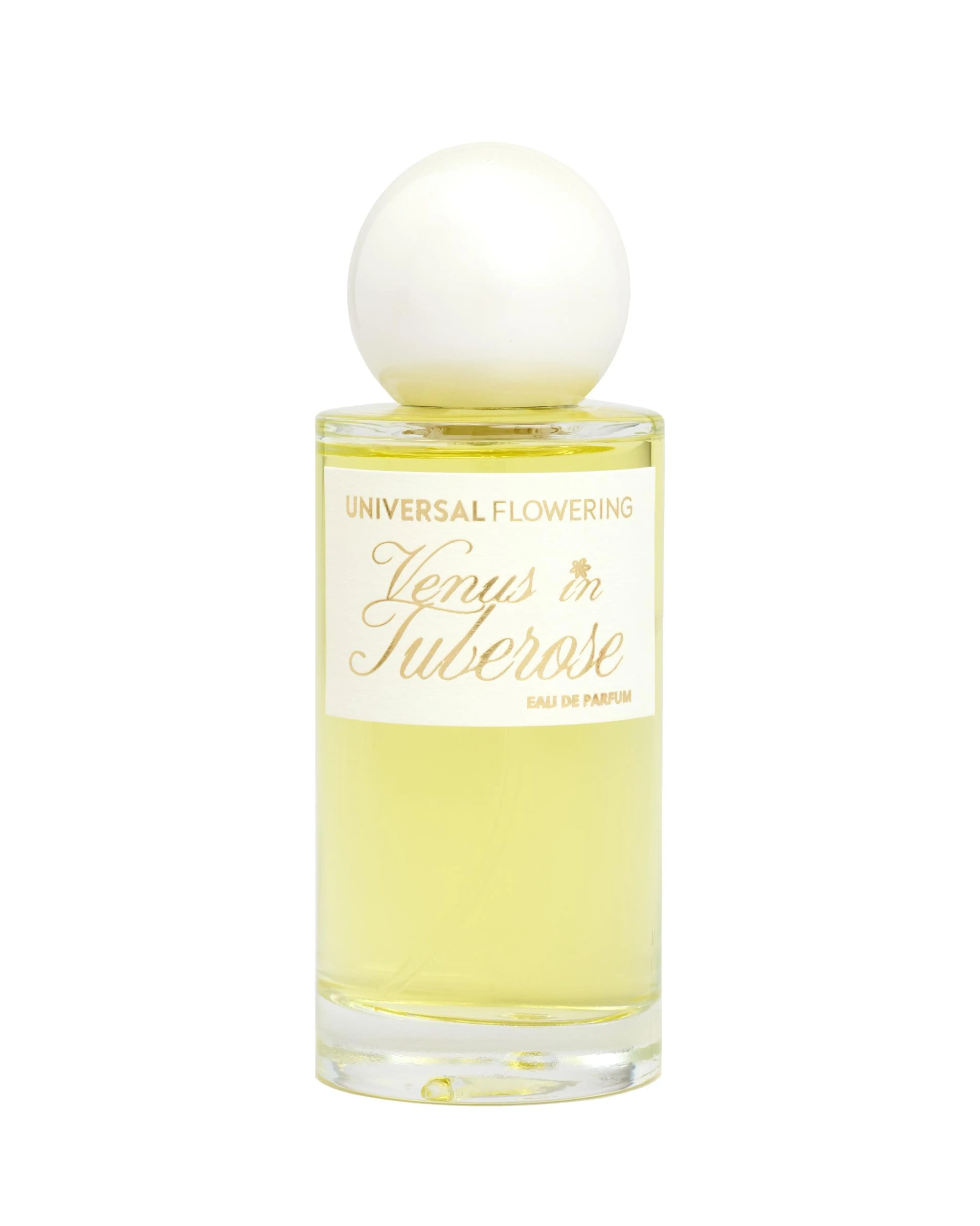 Venus in Tuberose