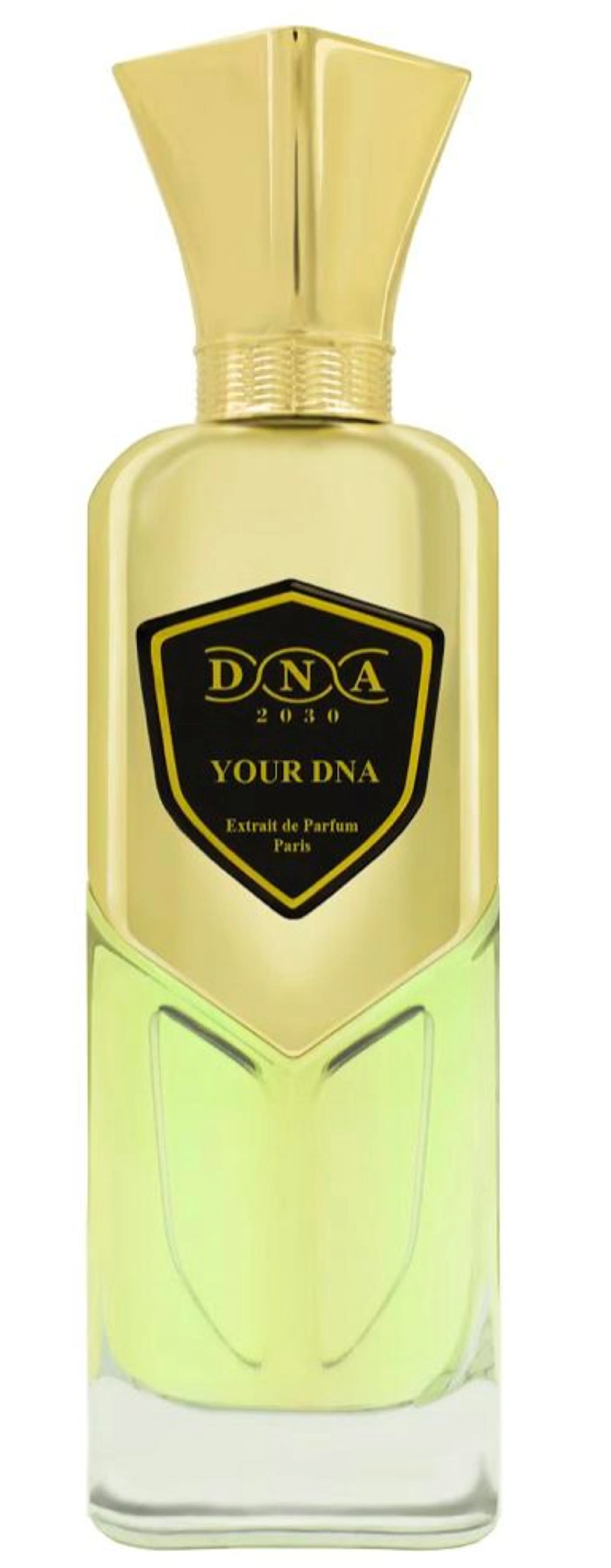 Your DNA
