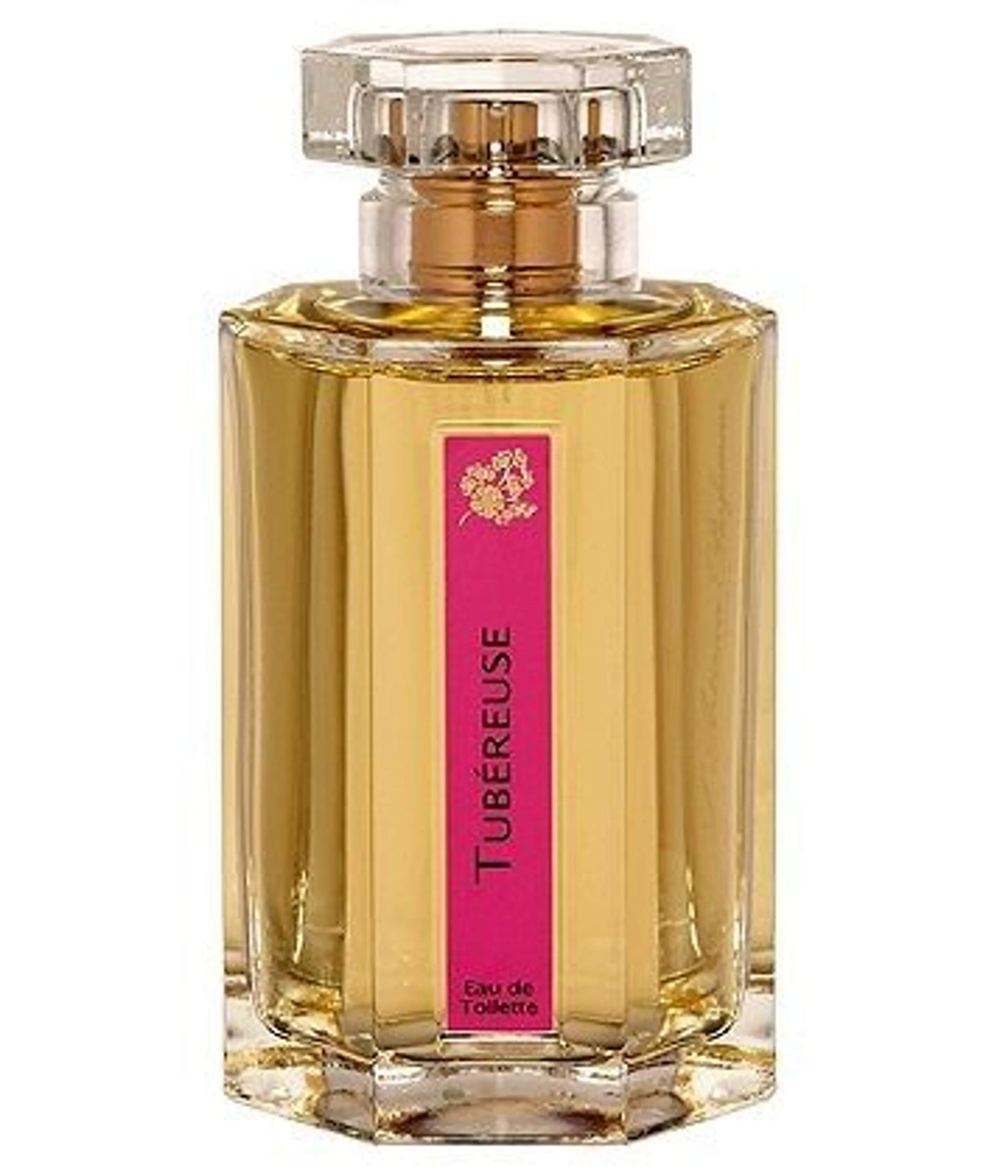 Tubereuse