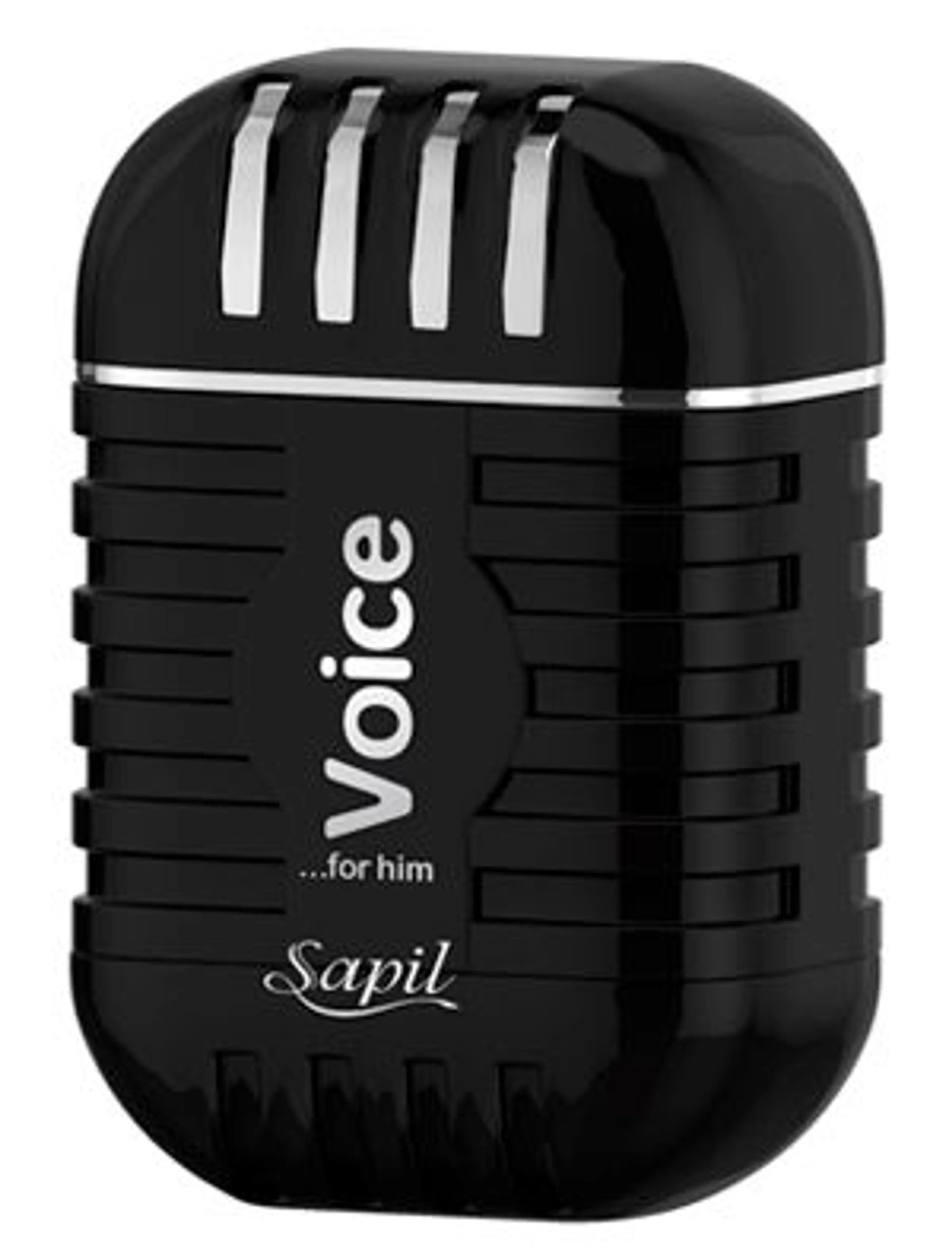 Voice