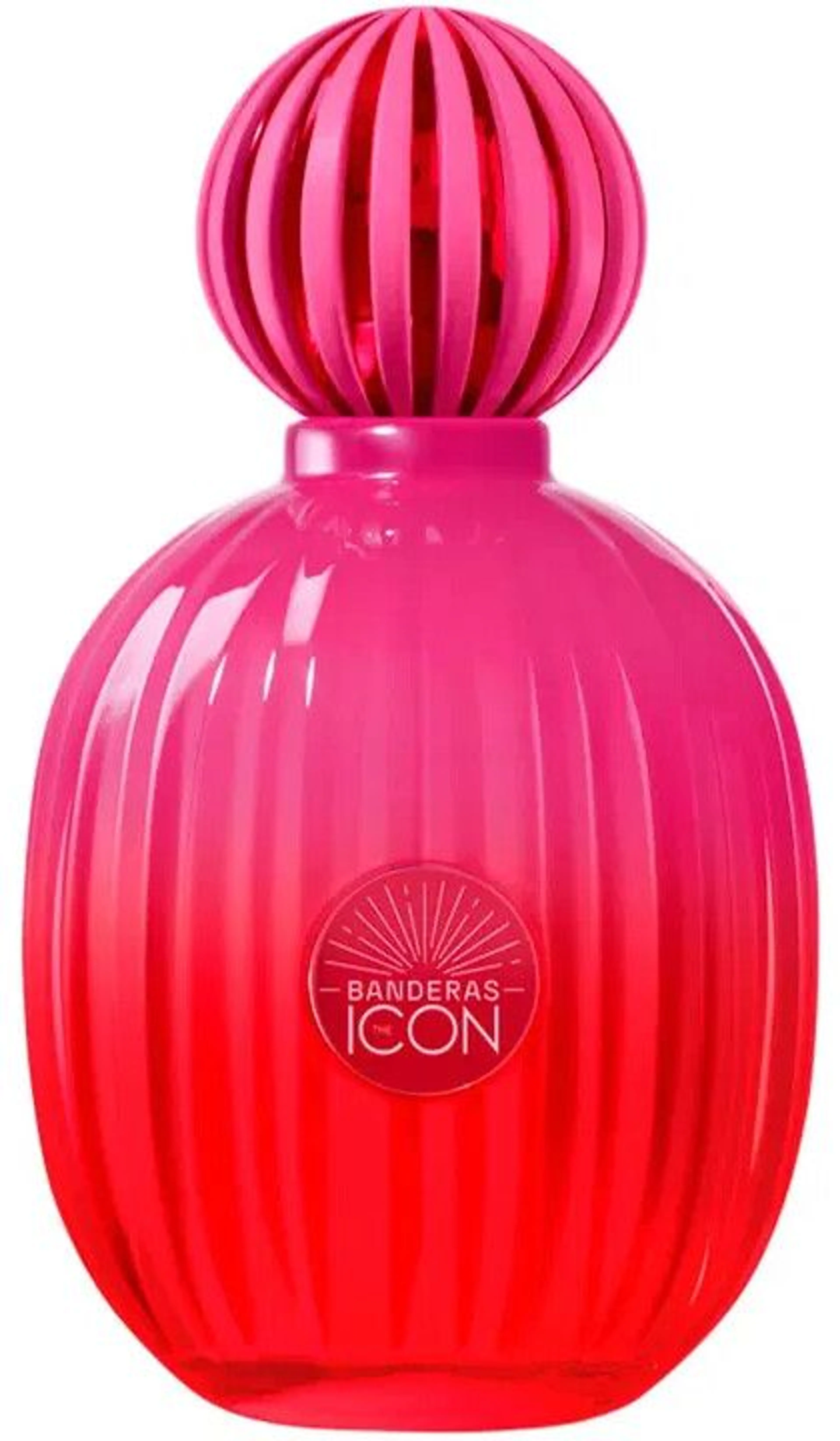 The Icon Supreme for Women
