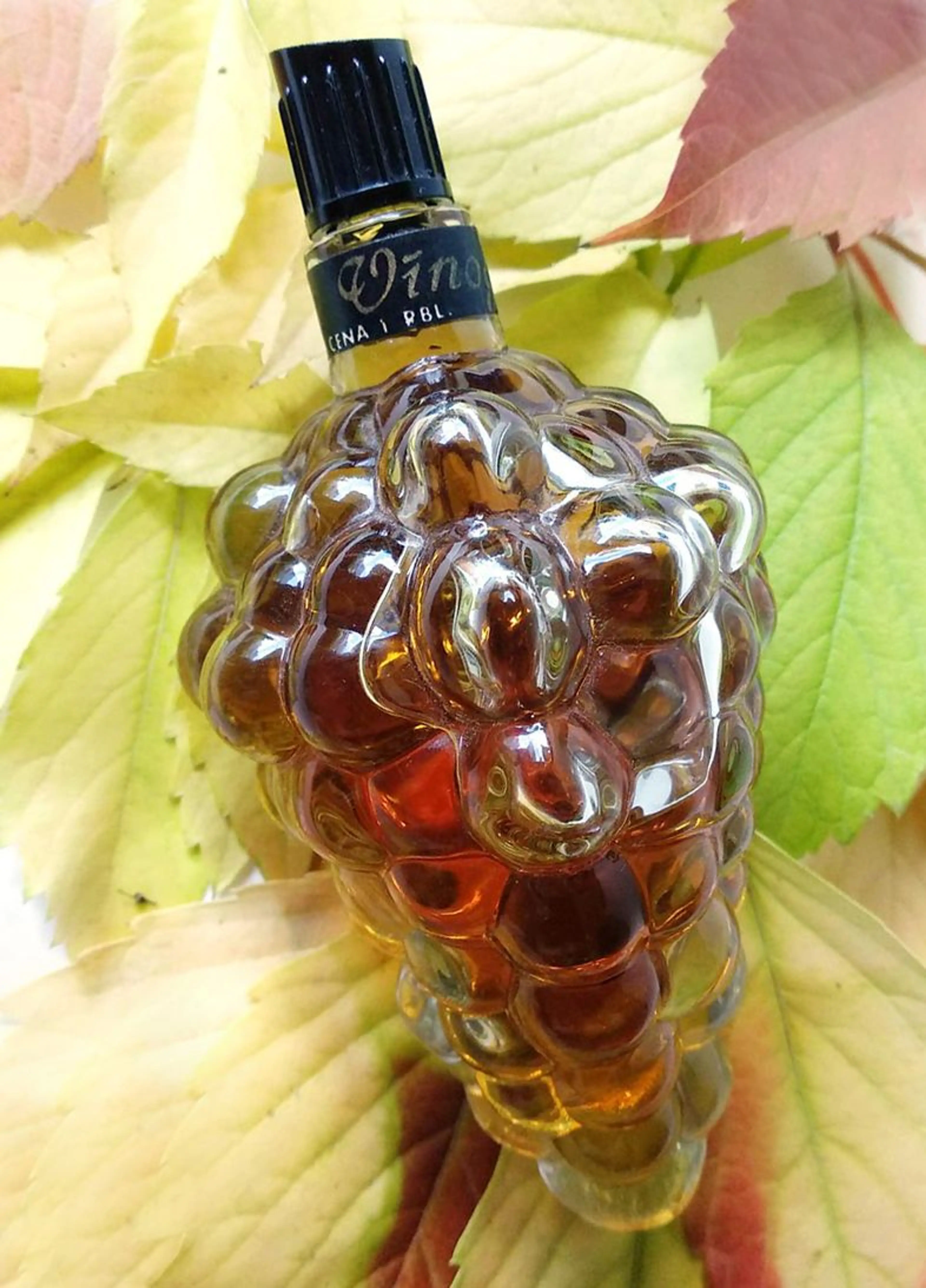 Vinogas (Виноград)