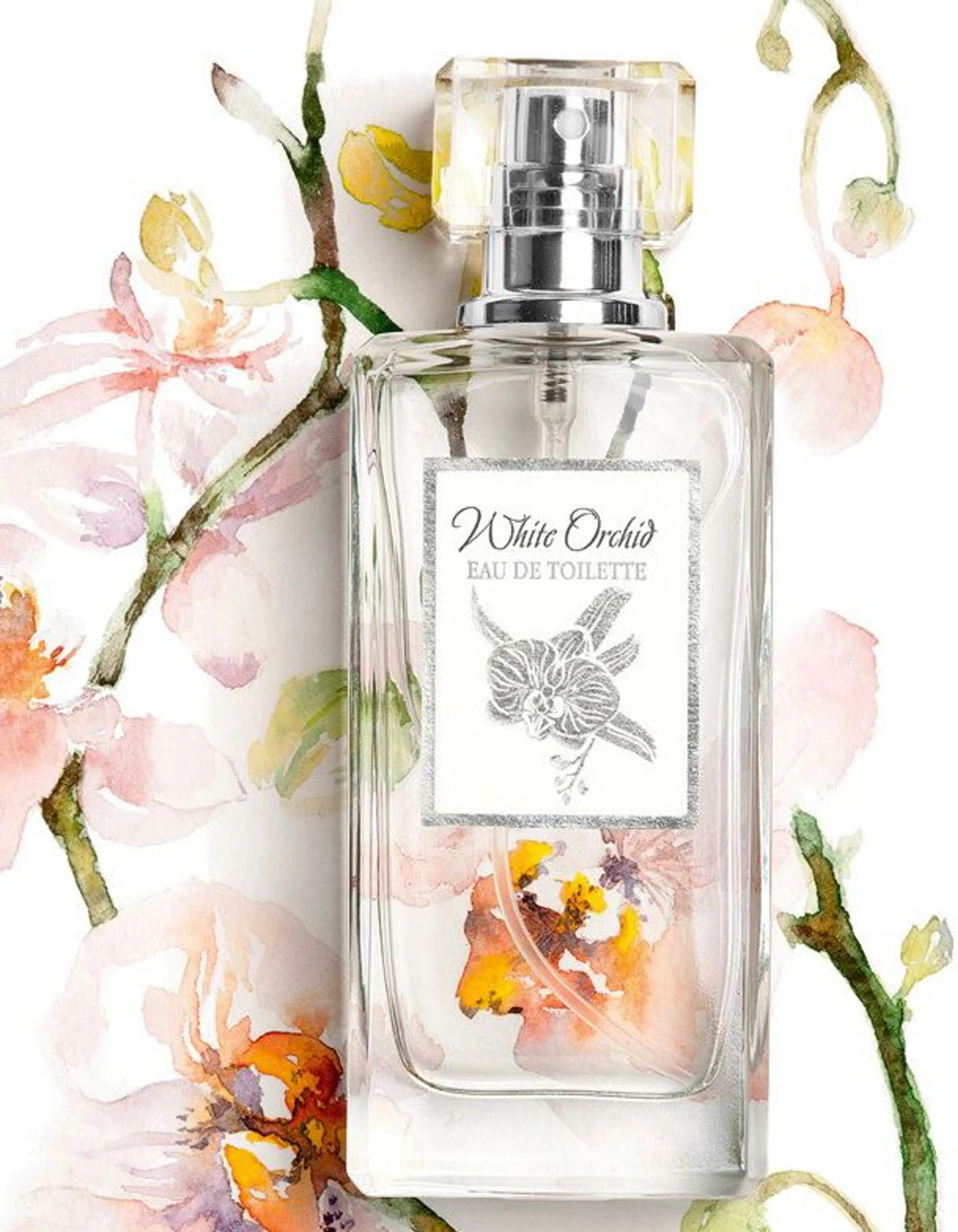 White Orchid