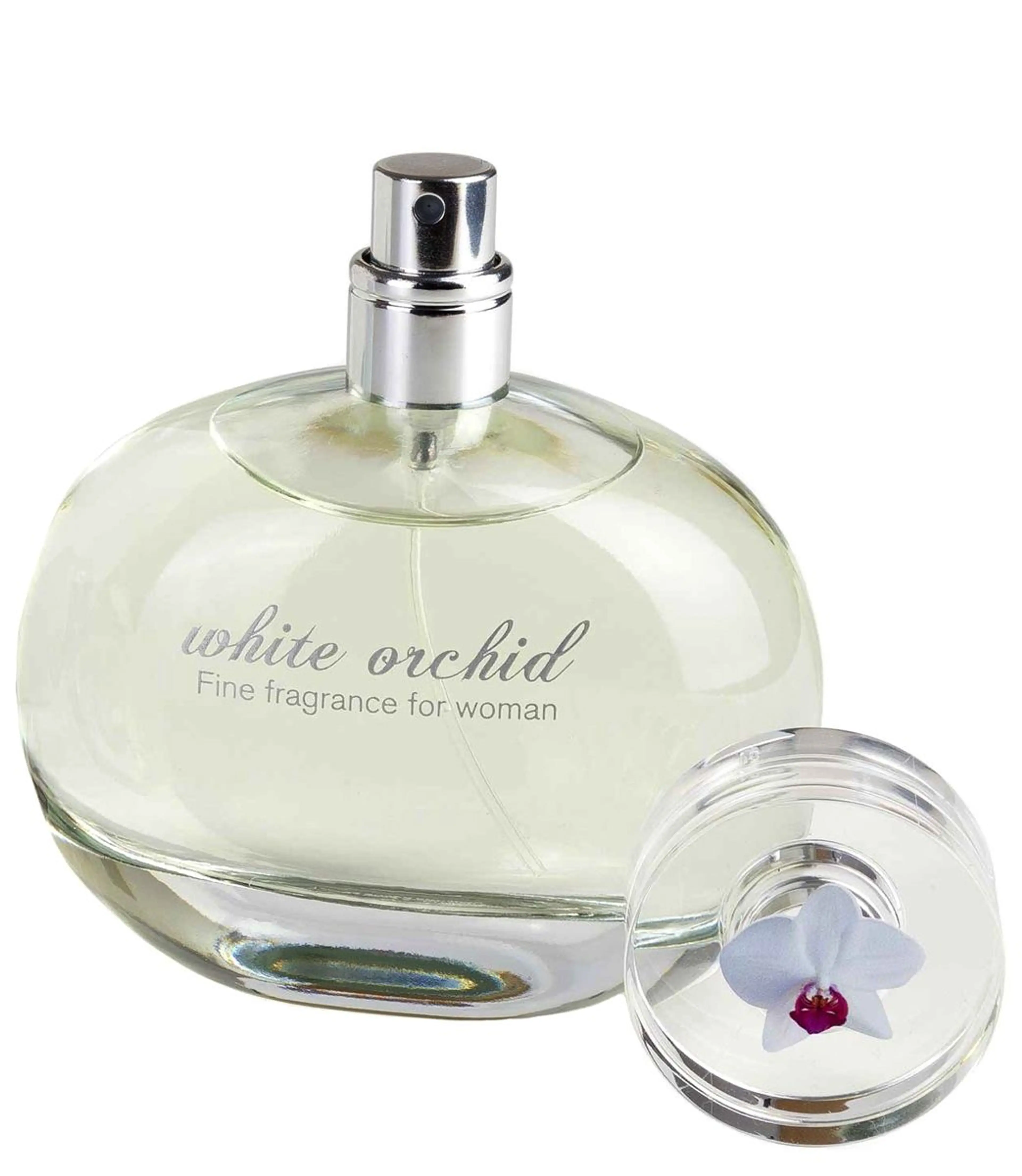 White Orchid