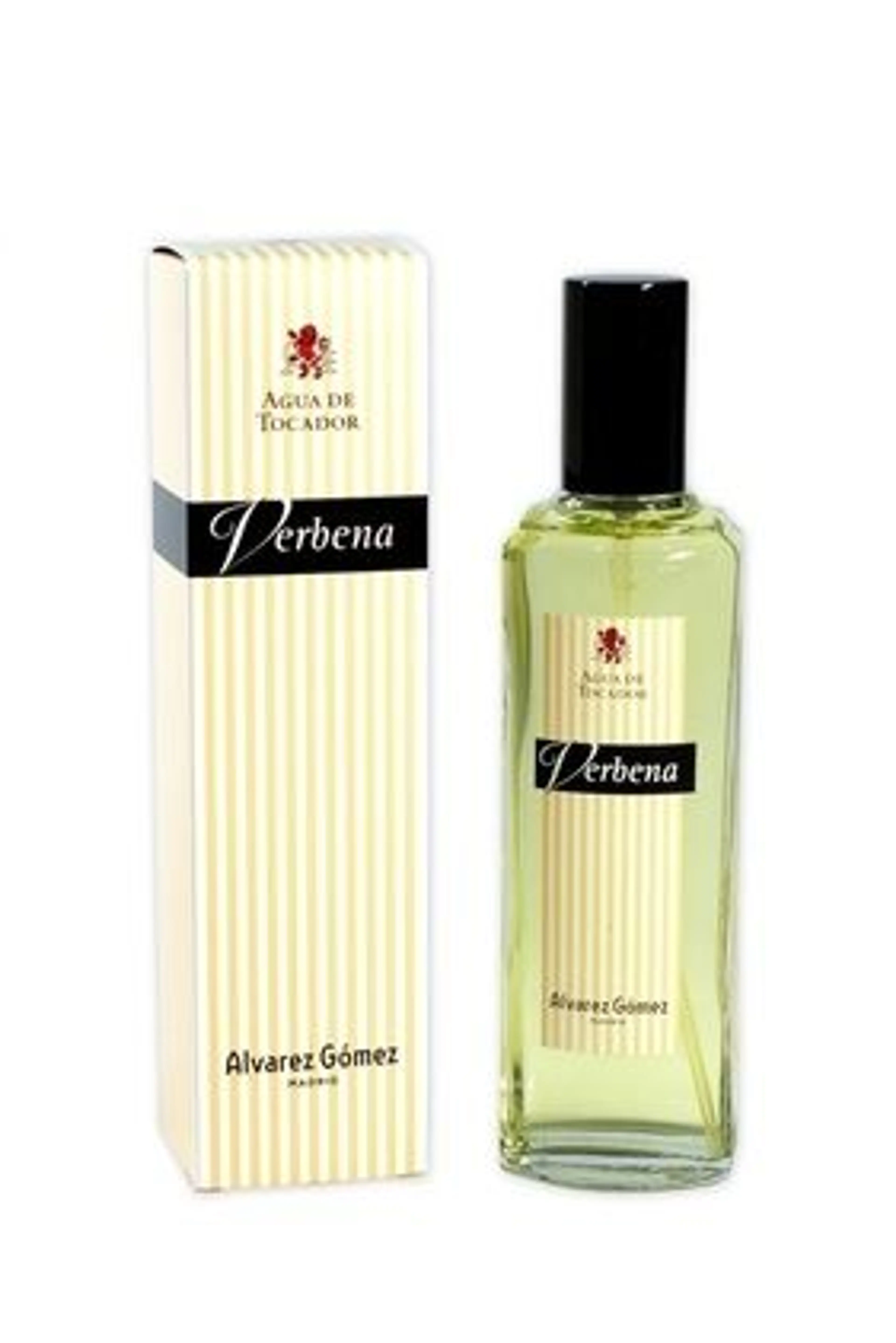 Verbena